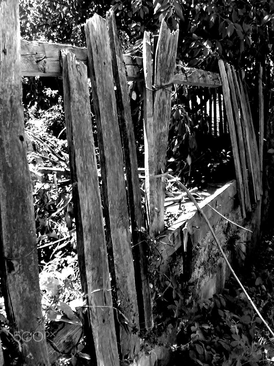 Nokia 6680 sample photo. () photography