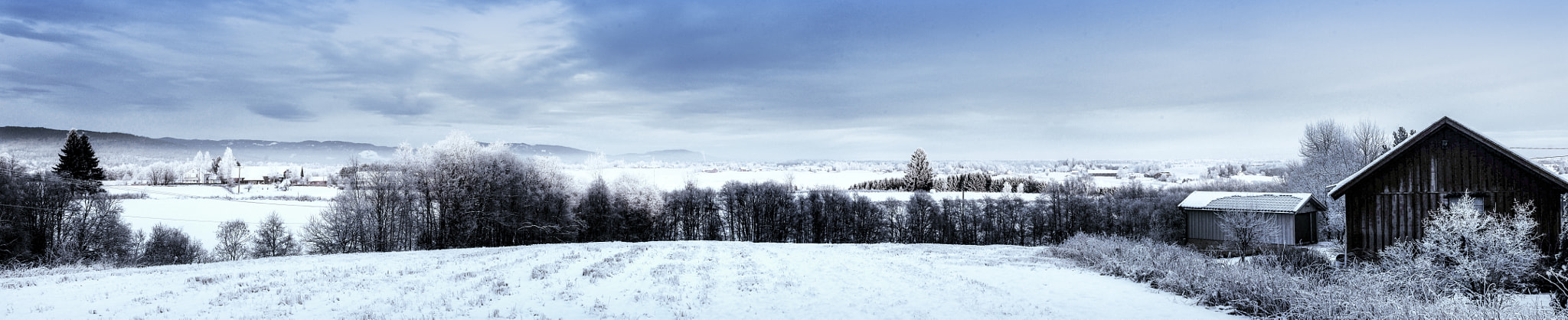 Nikon D40X + Nikon AF-S Nikkor 50mm F1.4G sample photo. Winter - very cold photography