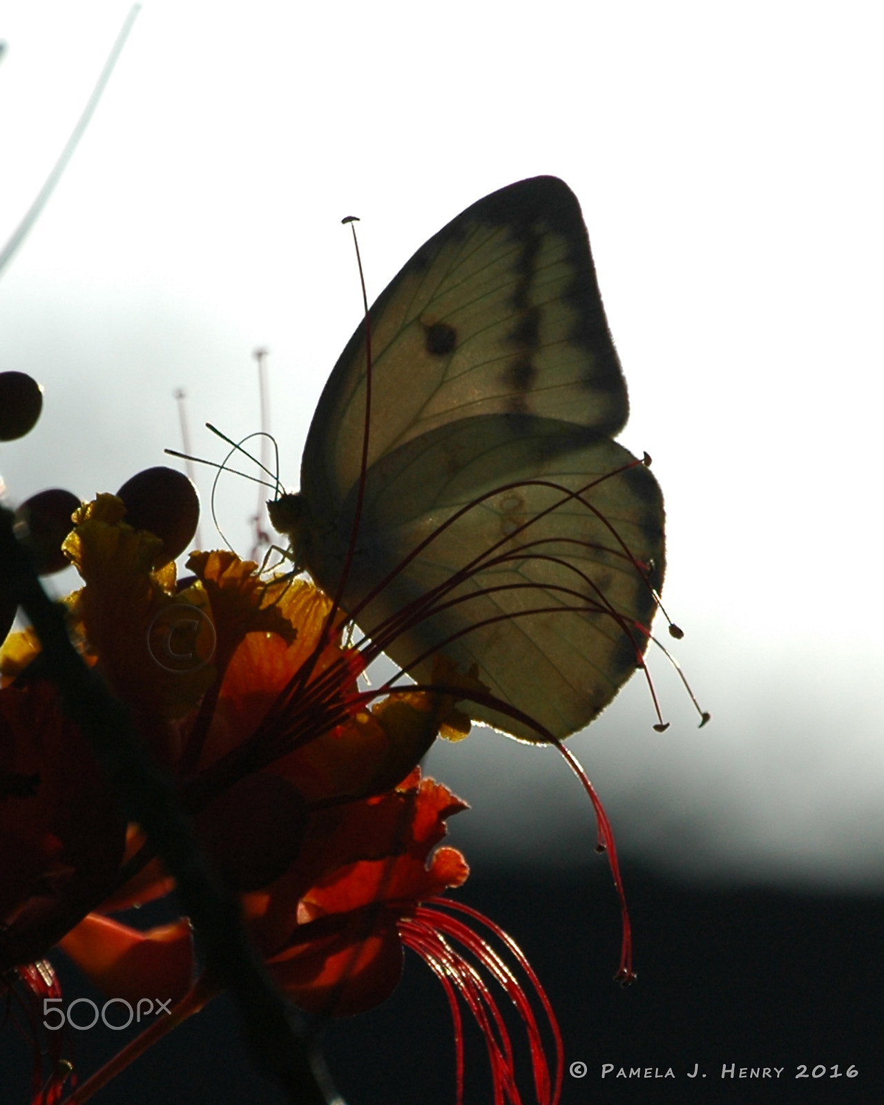 Nikon D70 sample photo. Solitude photography