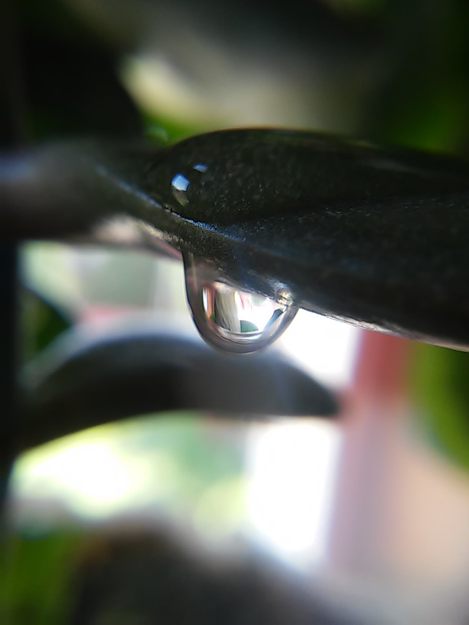 LG L90 sample photo. Drop. photography