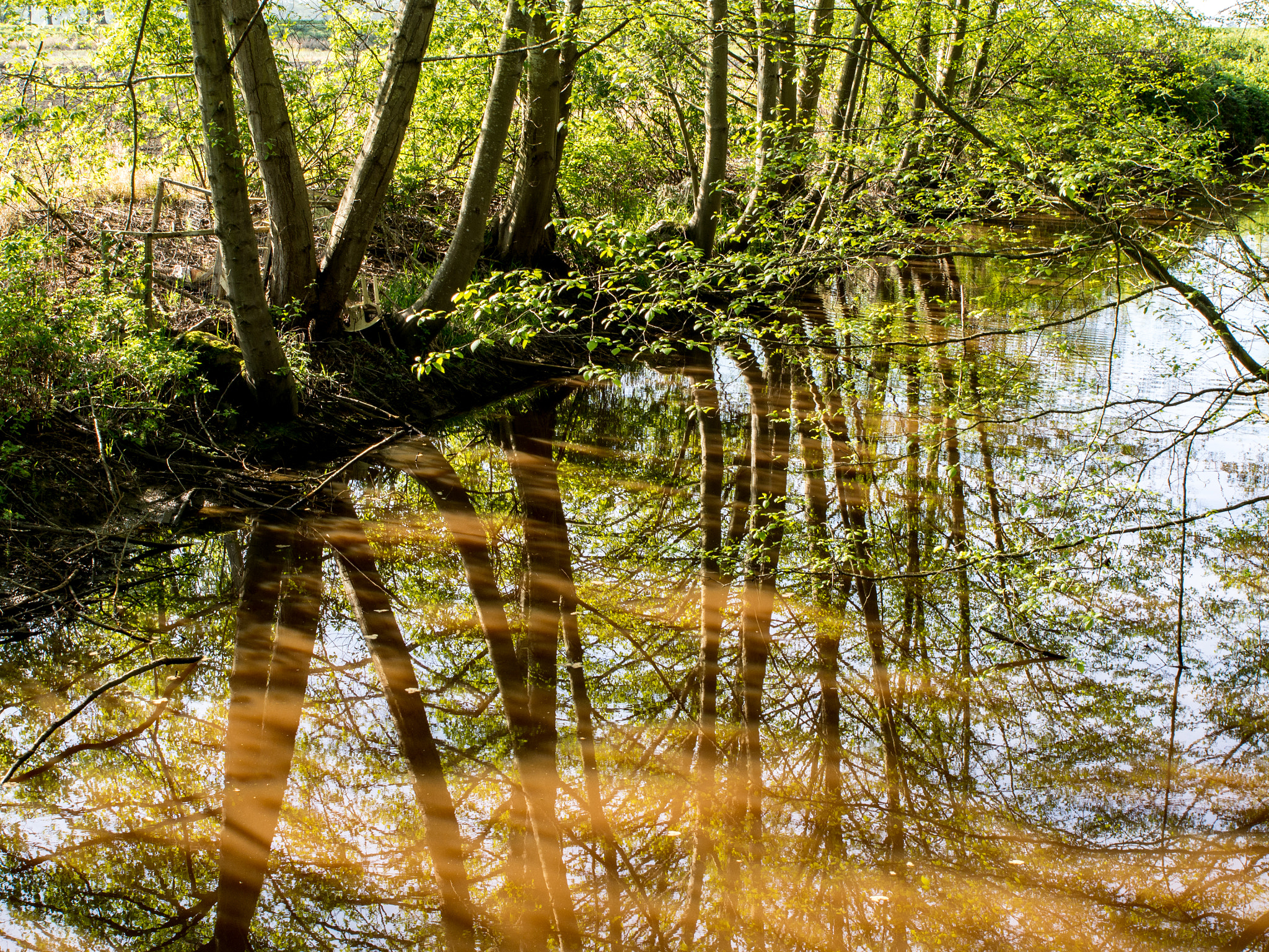 Olympus OM-D E-M5 sample photo. Reflection photography