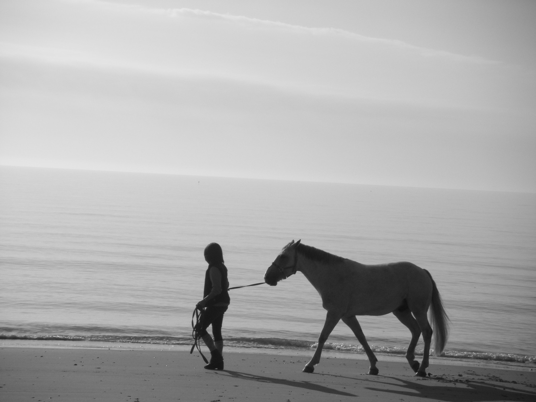 Fujifilm FinePix Z10fd sample photo. Frinton on sea photography