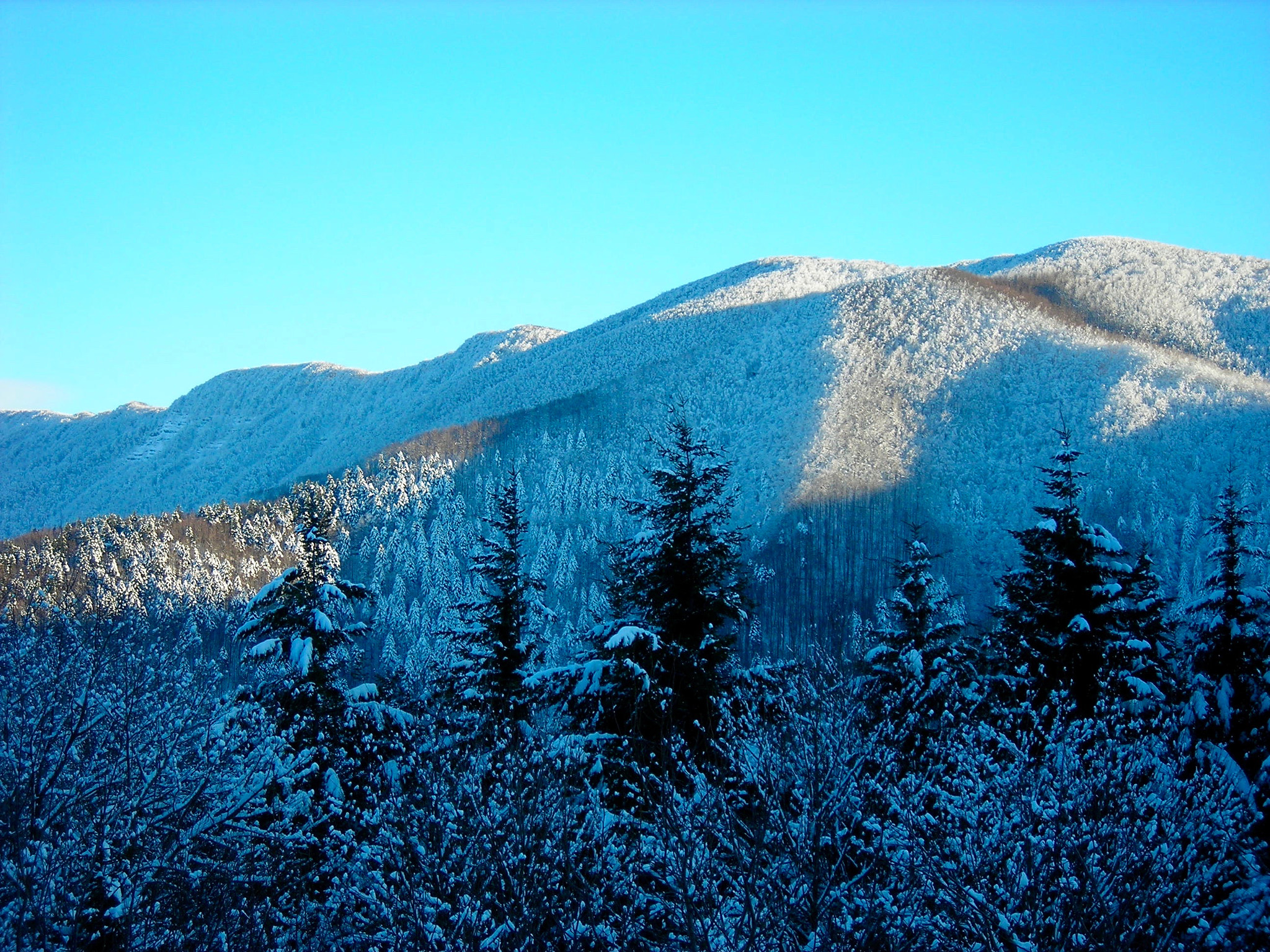 Nikon COOLPIX L3 sample photo. Blue snow photography