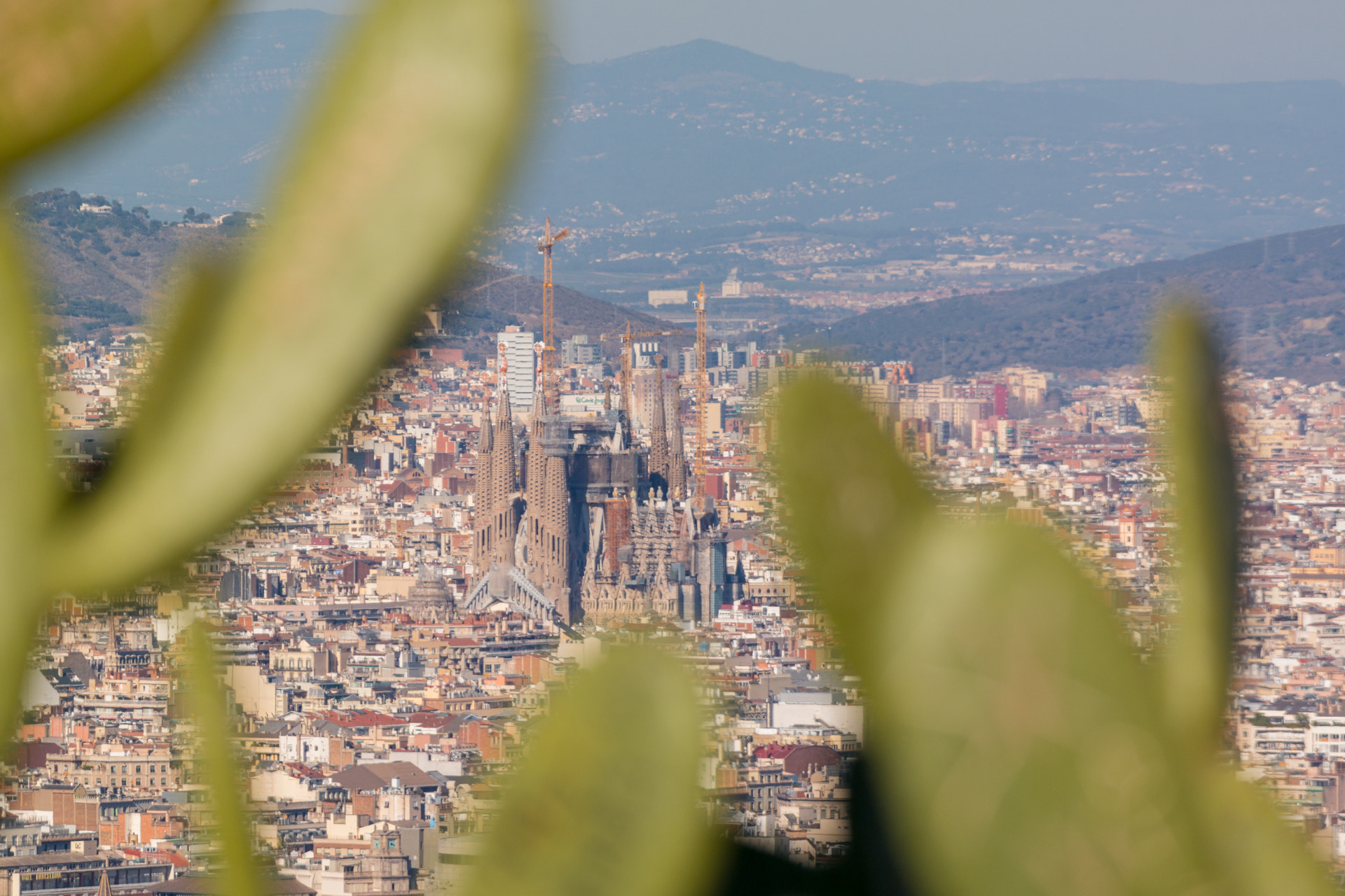 Samsung NX300 + Samsung NX 50-200mm F4-5.6 ED OIS sample photo. Sagrada familia from montjuic photography