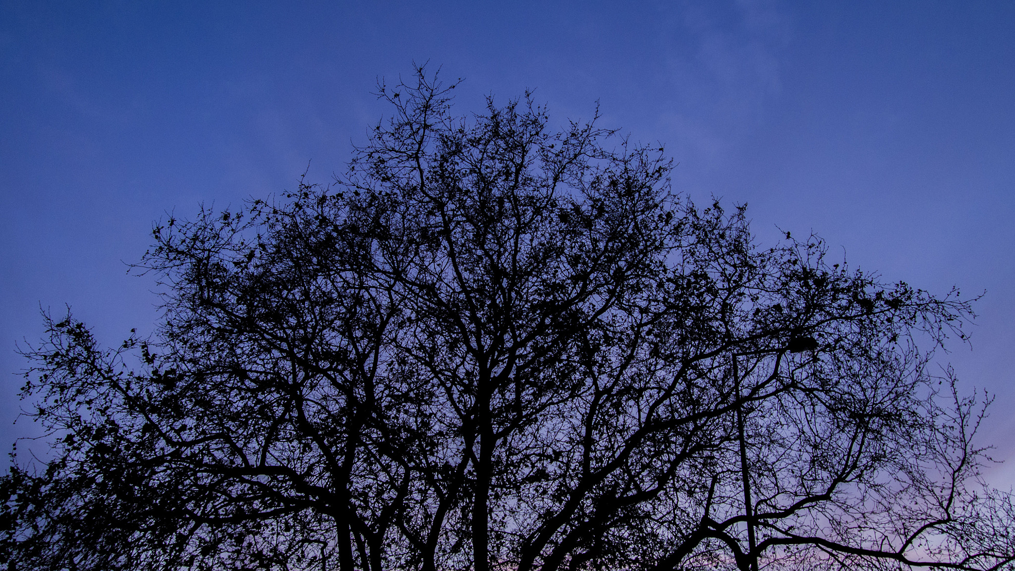 Olympus PEN E-PM2 sample photo. Sunset portugal photography