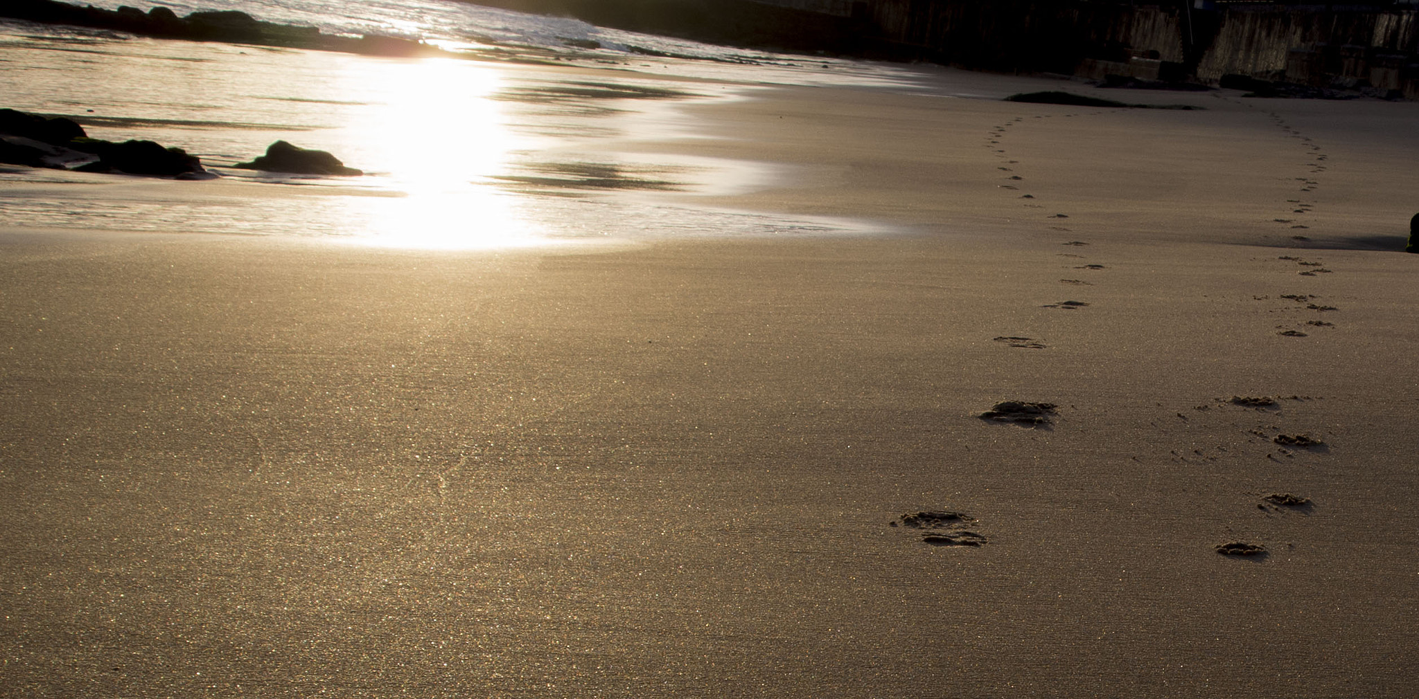 Olympus PEN E-PM2 sample photo. Sunset portugal photography