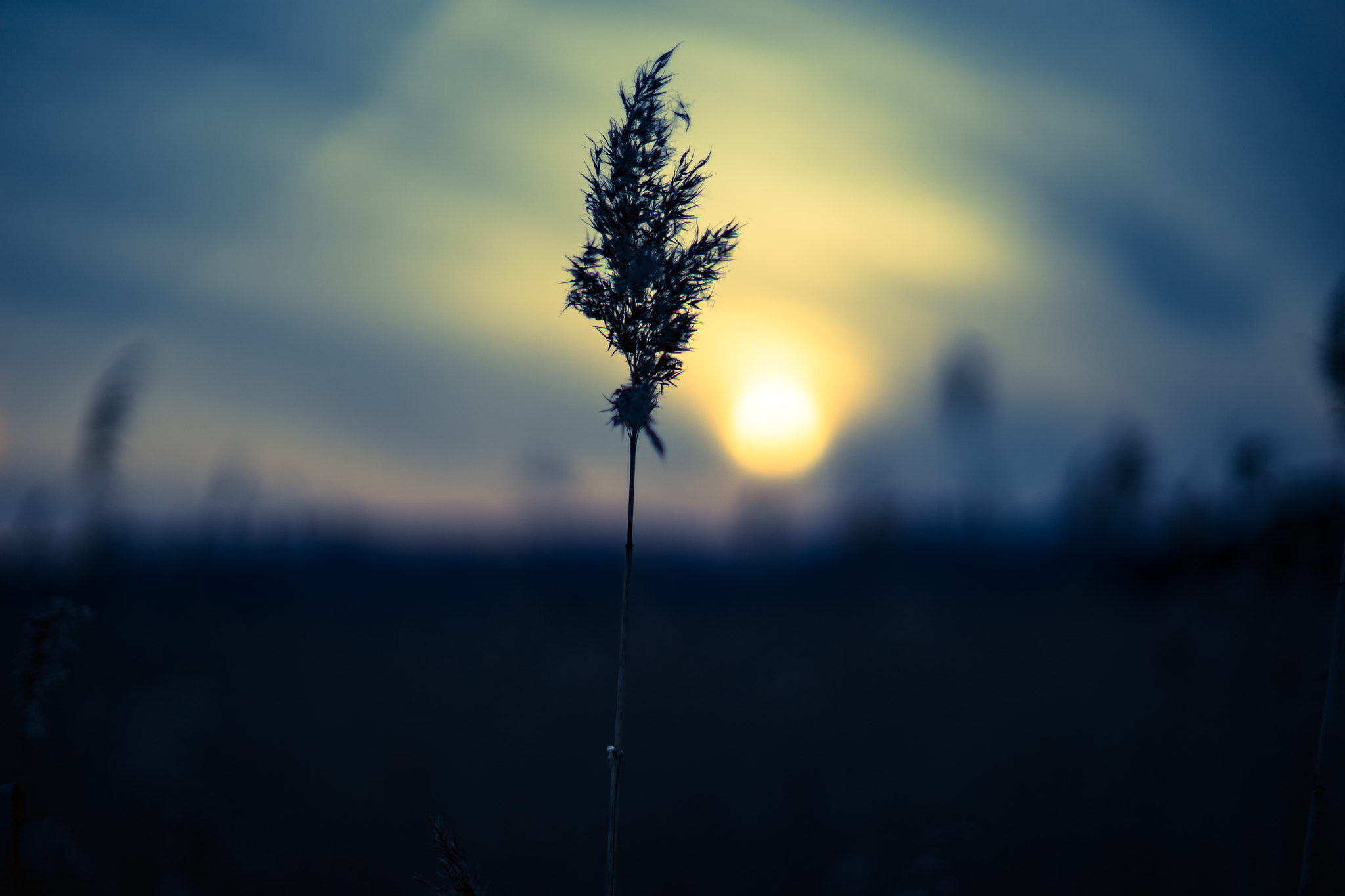 Sony a7 II + Sony 50mm F1.4 sample photo. また明日 see you tomorrow photography