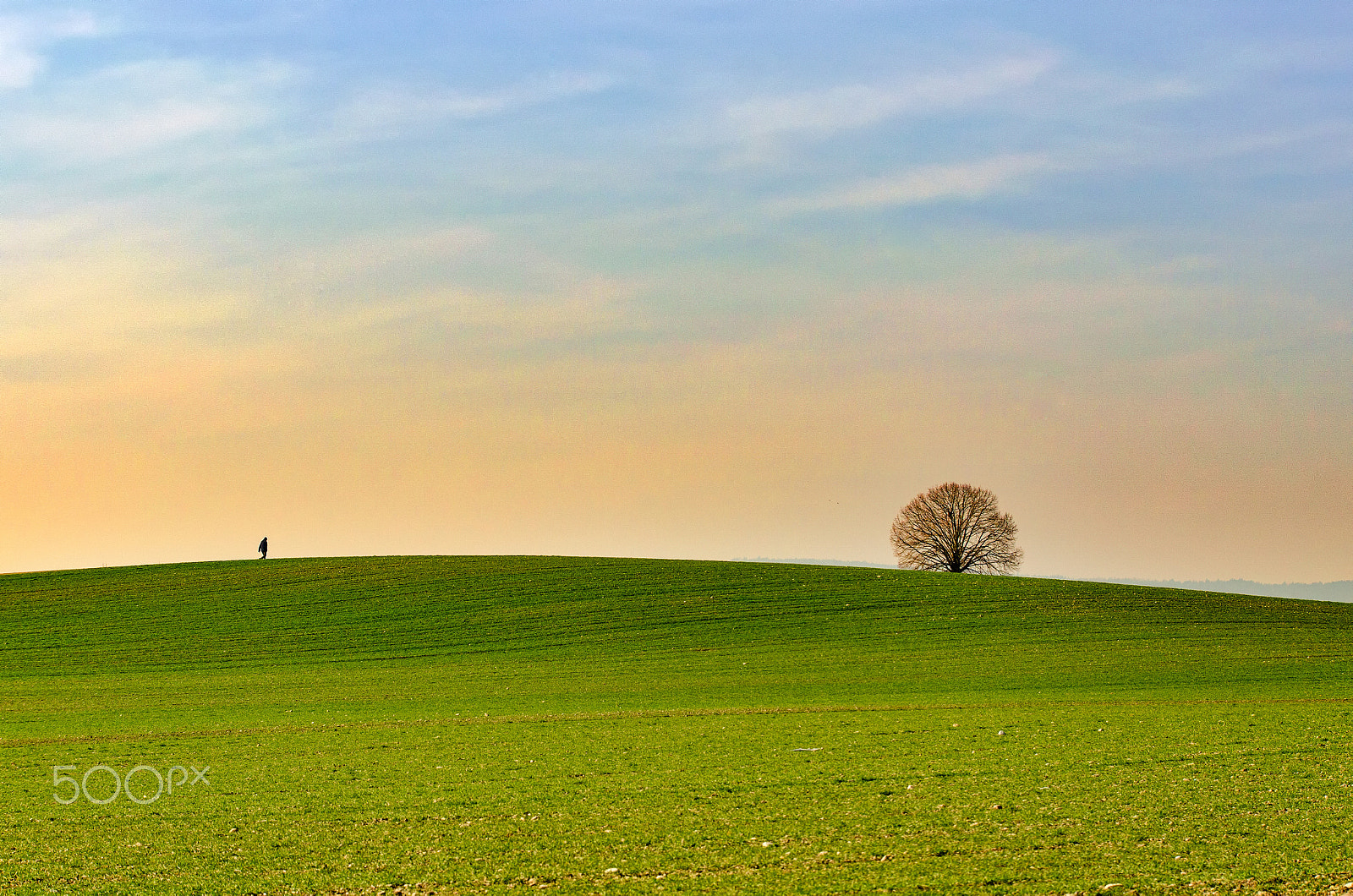 Nikon D7000 + Sigma 50-150mm F2.8 EX APO DC OS HSM sample photo. One men and the tree photography