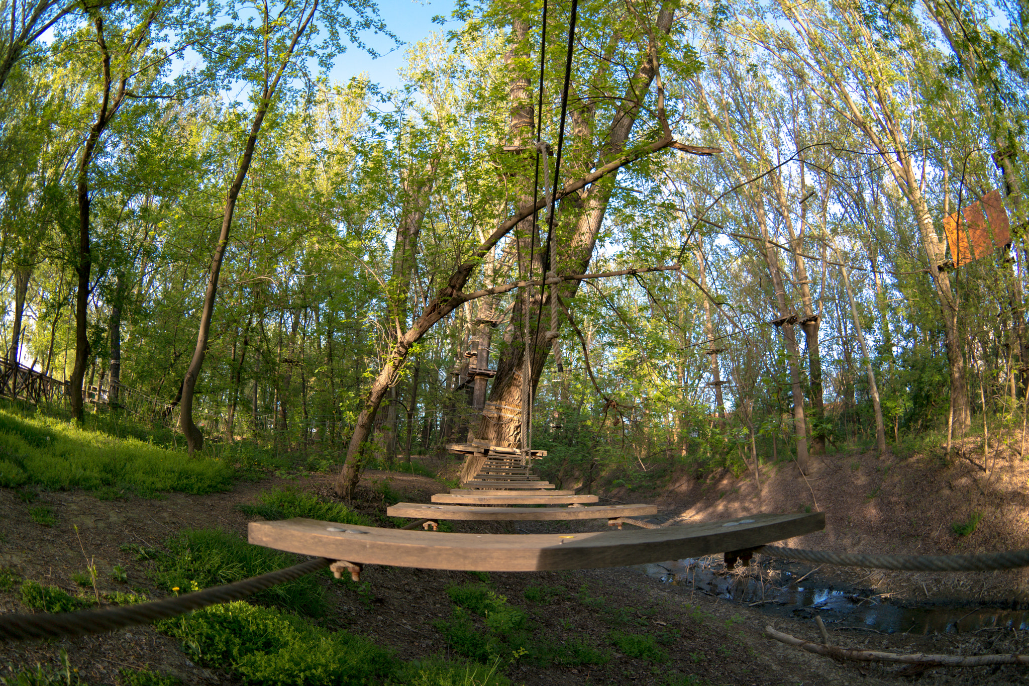 Samsung NX300 + Samsung NX 10mm F3.5 Fisheye sample photo. Adventure park photography