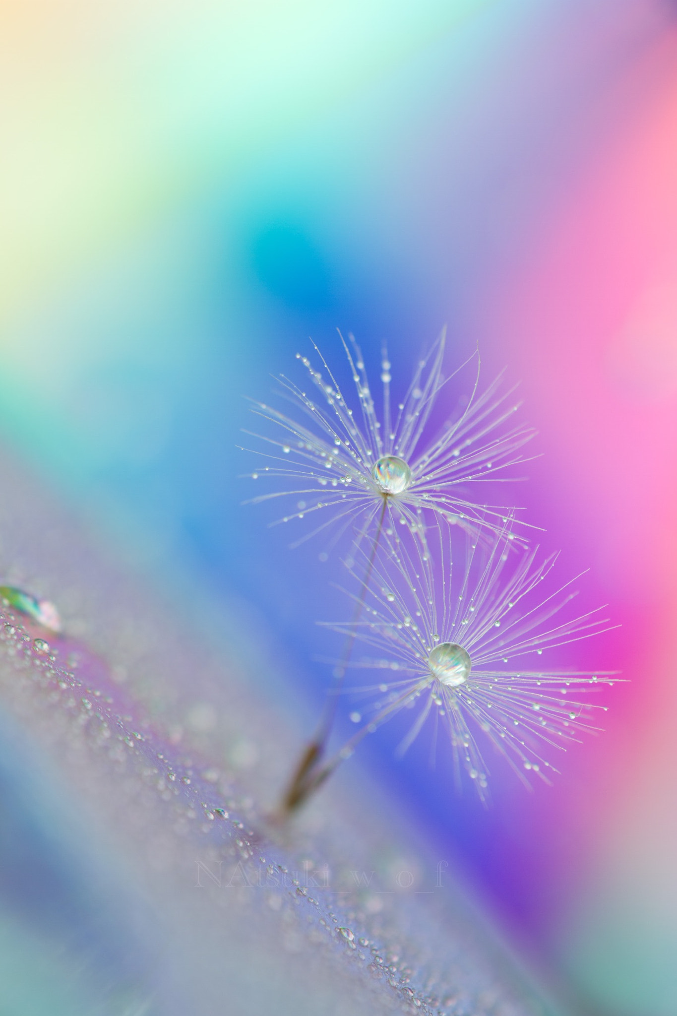 Tamron SP AF 180mm F3.5 Di LD (IF) Macro sample photo. Beautiful world photography