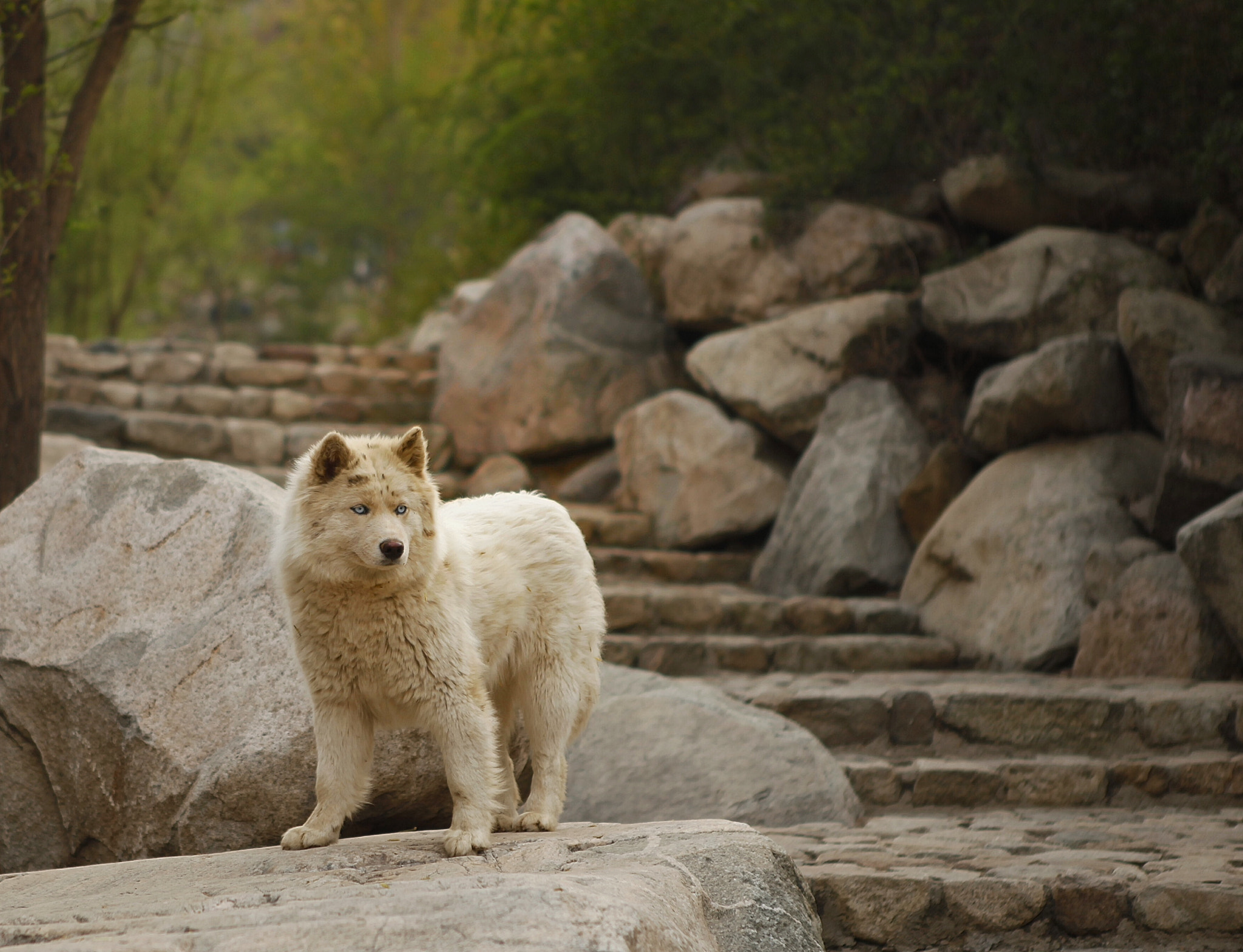 Canon EF 24-70mm F2.8L USM sample photo. 警惕！ photography