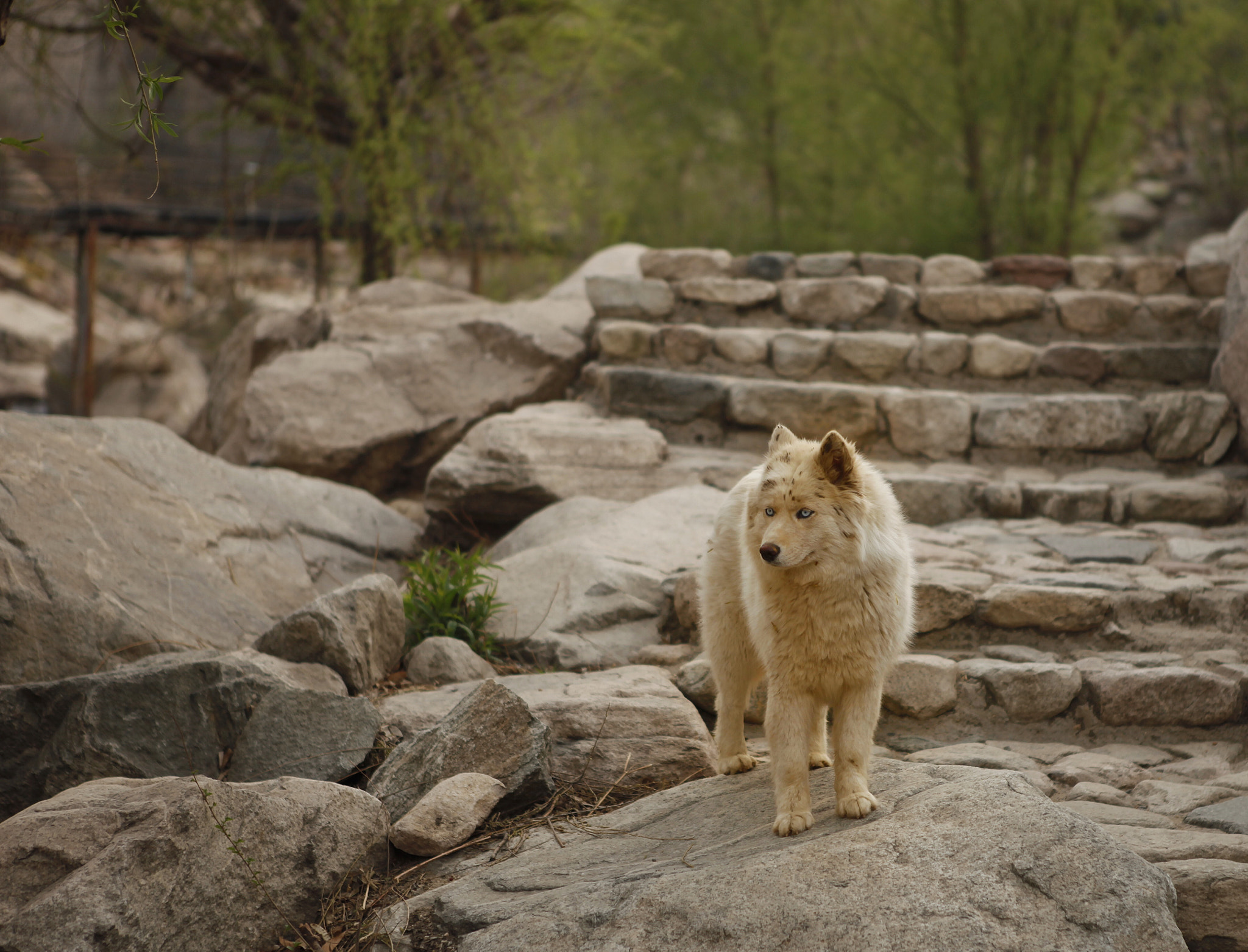 Canon EF 24-70mm F2.8L USM sample photo. 发现！ photography
