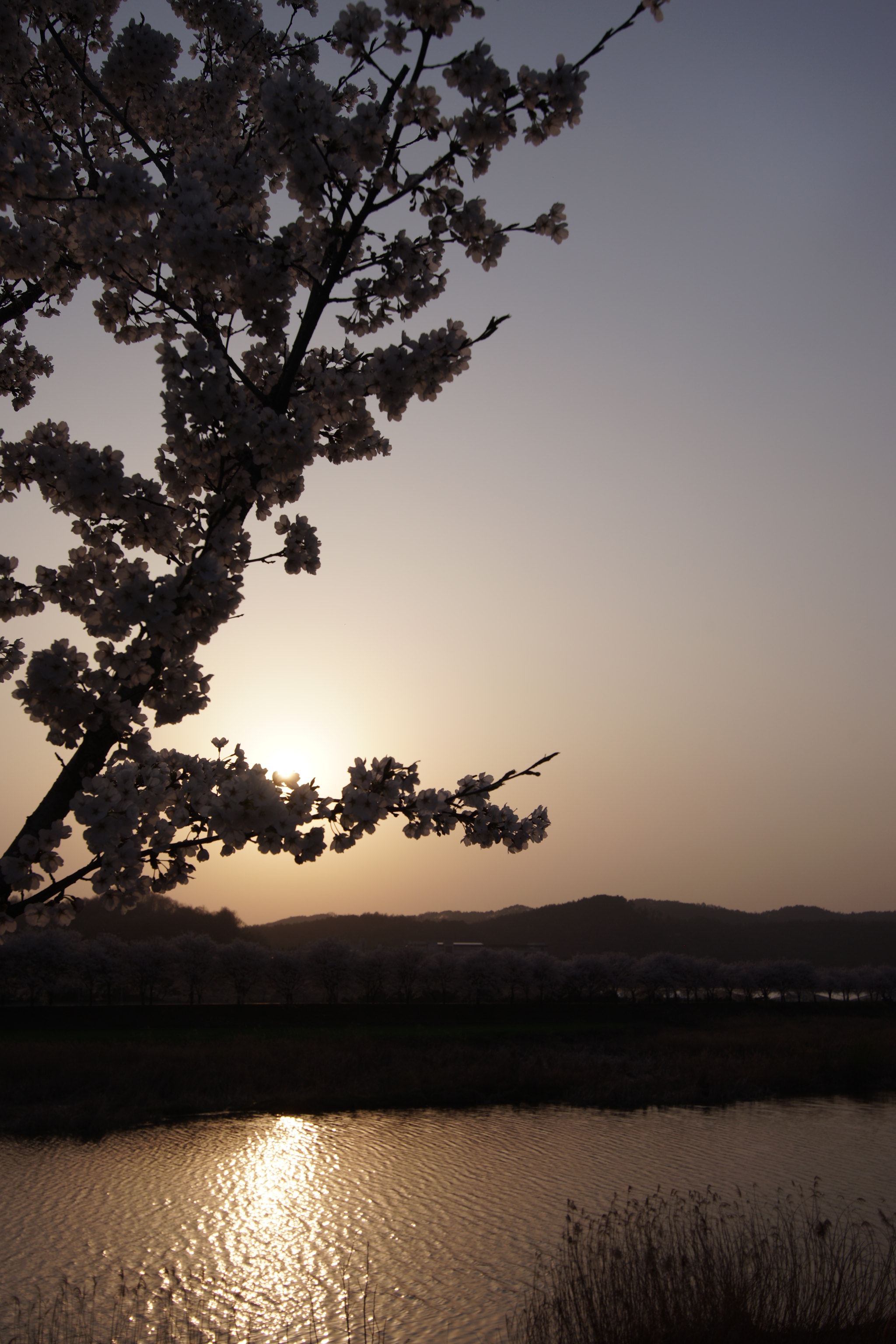 Canon EF-S 17-85mm F4-5.6 IS USM sample photo. Sunset photography