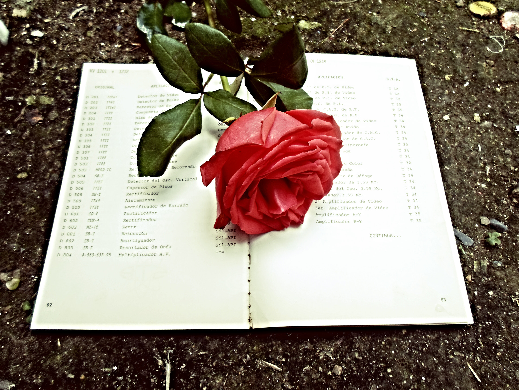 Samsung ST77 / ST79 sample photo. The book 2 photography