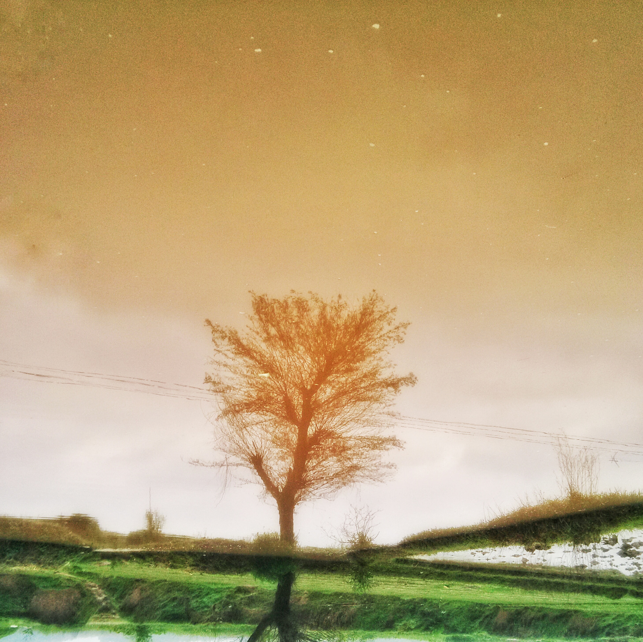 OPPO Find5 sample photo