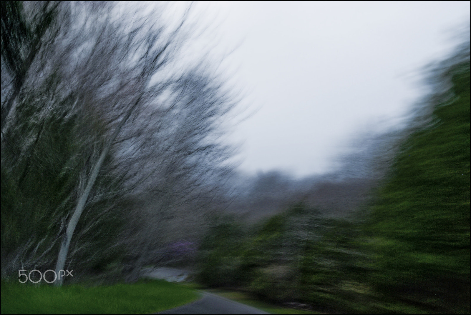 Nikon AF-S Nikkor 17-35mm F2.8D ED-IF sample photo. Catawba dreaming on deer run rd photography