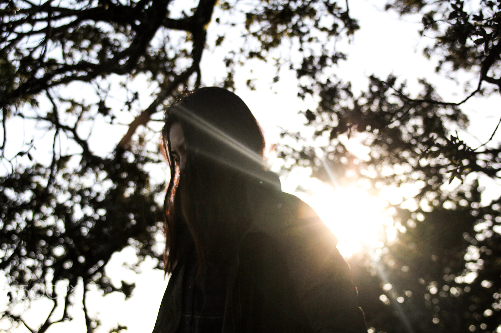 Canon EOS 60D + EF28-70mm f/2.8L USM sample photo. Lens flare photography
