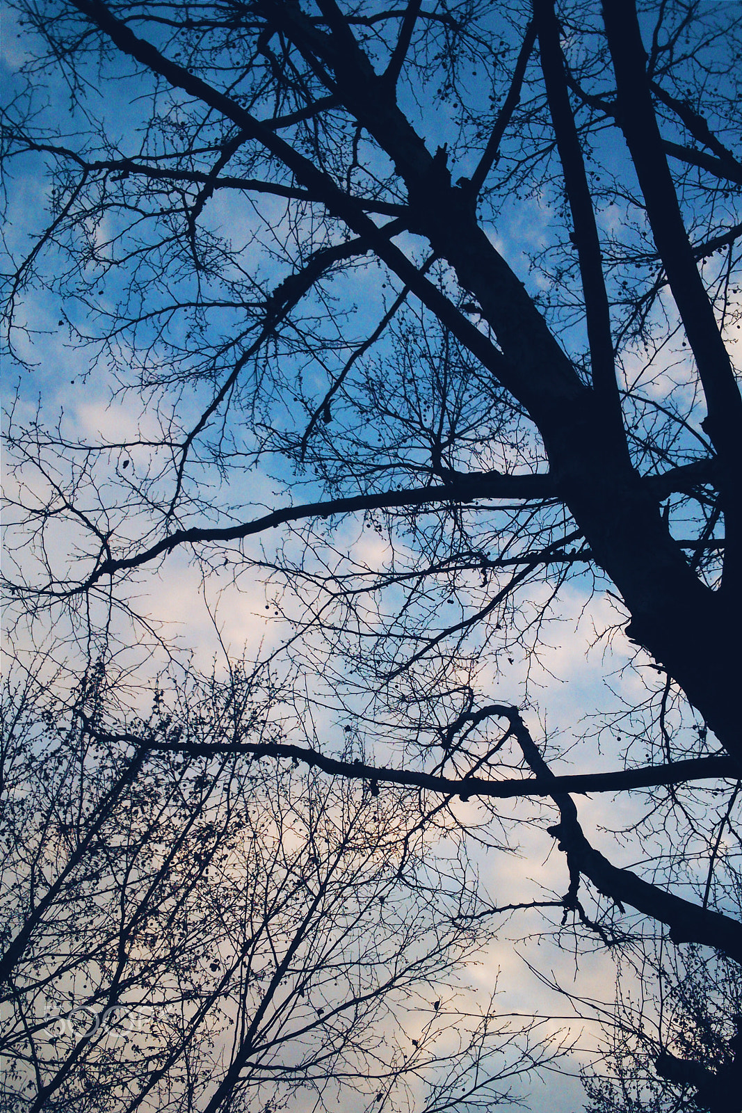 Sony Xperia P sample photo. Sky photography