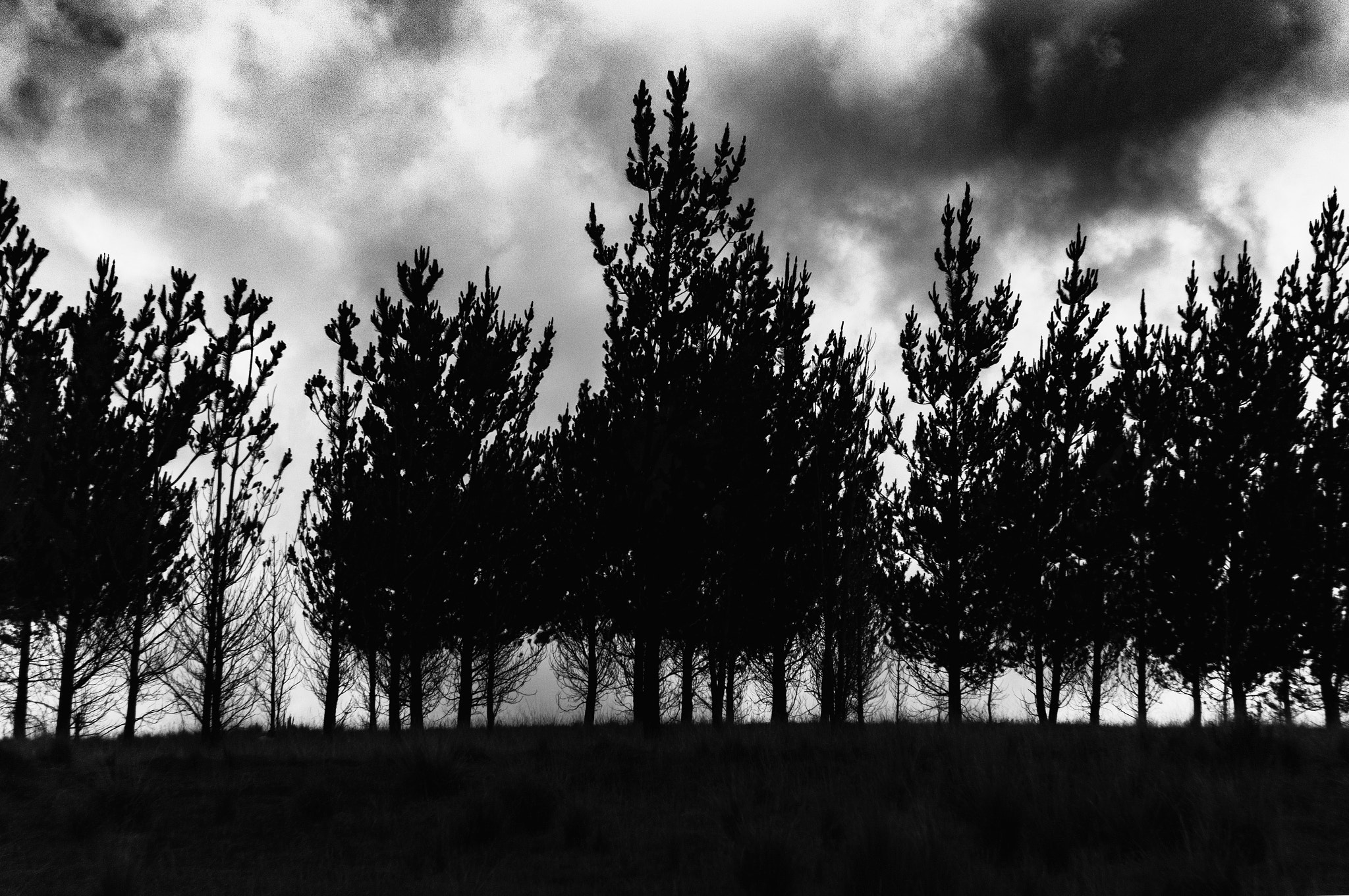 Canon EOS 100D (EOS Rebel SL1 / EOS Kiss X7) sample photo. Guerreros photography