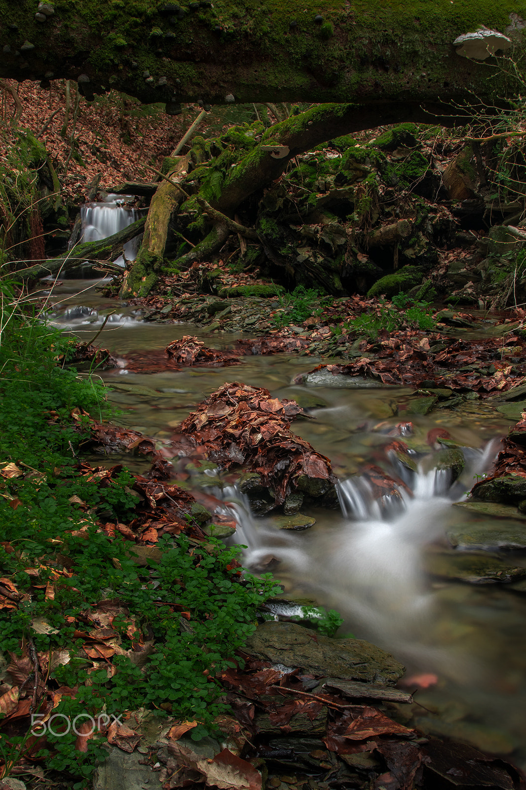 Sony ILCA-77M2 + Tamron AF 28-105mm F4-5.6 [IF] sample photo. Small waterfall photography