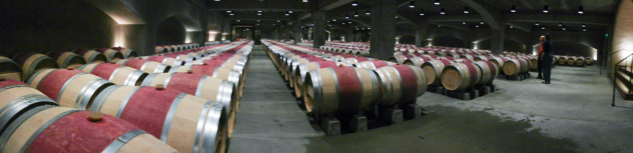 NX 18-55mm F3.5-5.6 sample photo. Mondavi winery photography
