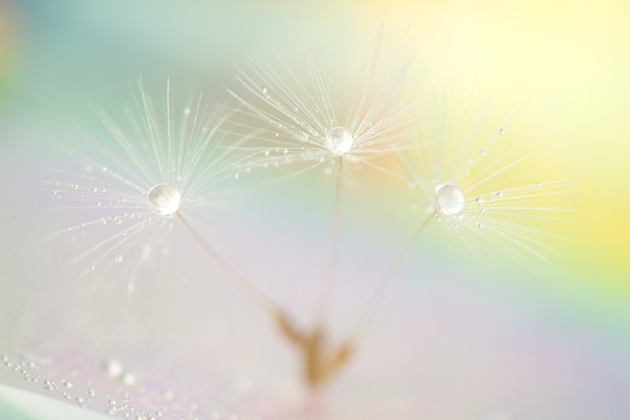 Tamron SP AF 180mm F3.5 Di LD (IF) Macro sample photo. Beautiful world photography