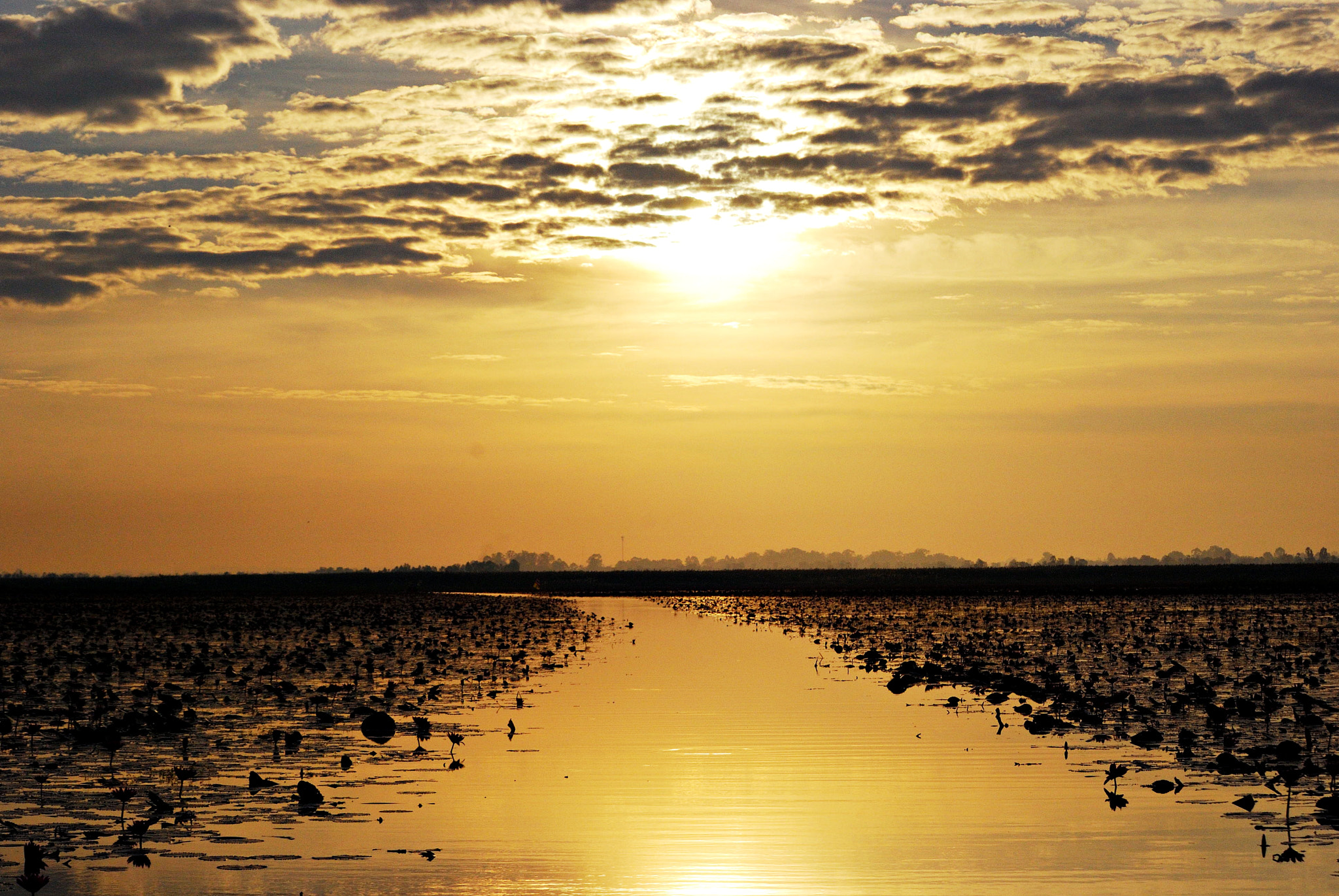 Nikon D40X sample photo. Sunrise at red lotus lake, udonthani, thailand photography