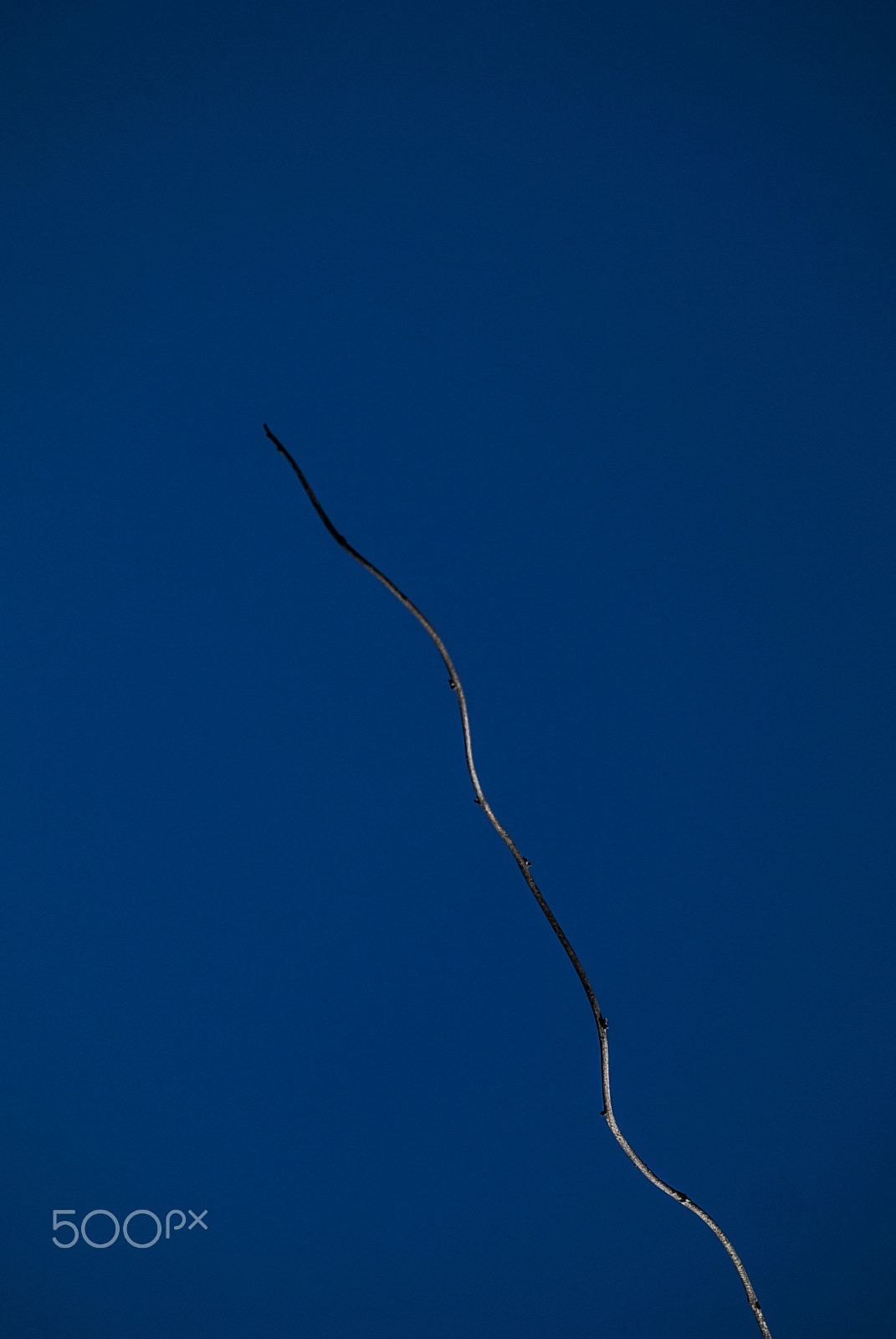Nikon 1 V1 sample photo. Straight up photography