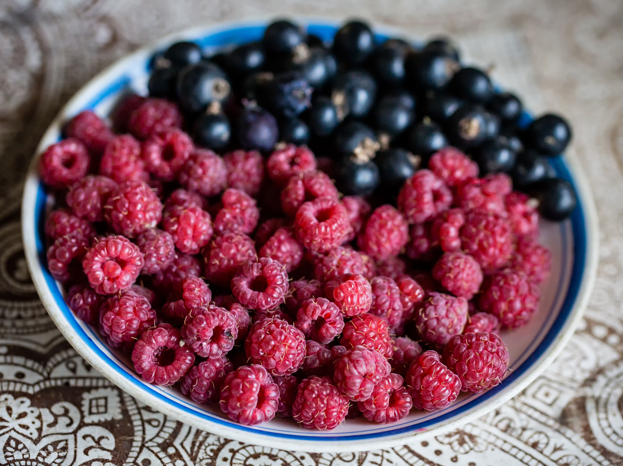 Sony SLT-A77 + Tamron Lens (255) sample photo. Some berries photography