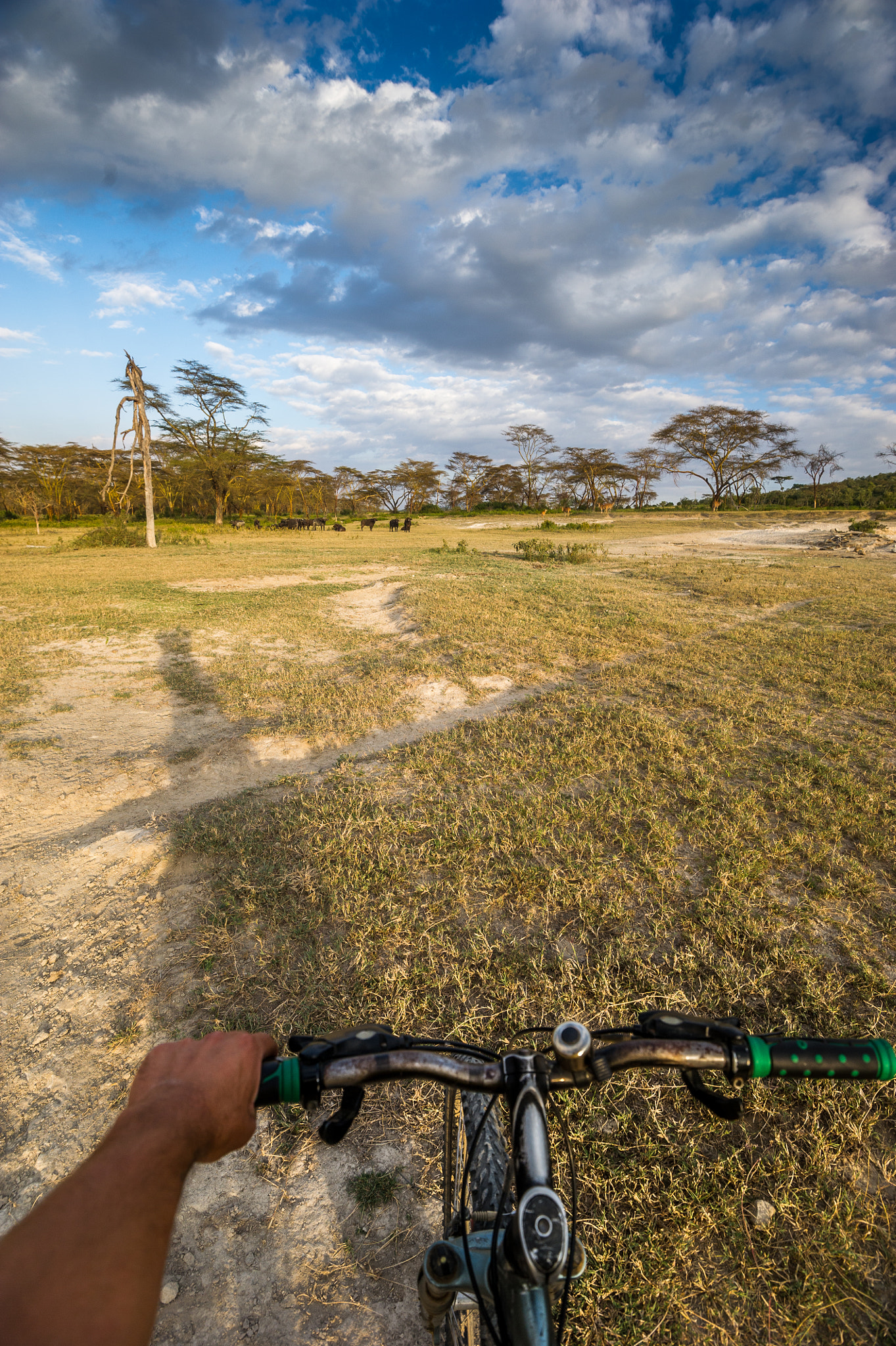 Nikon D3S sample photo. Bike safari photography