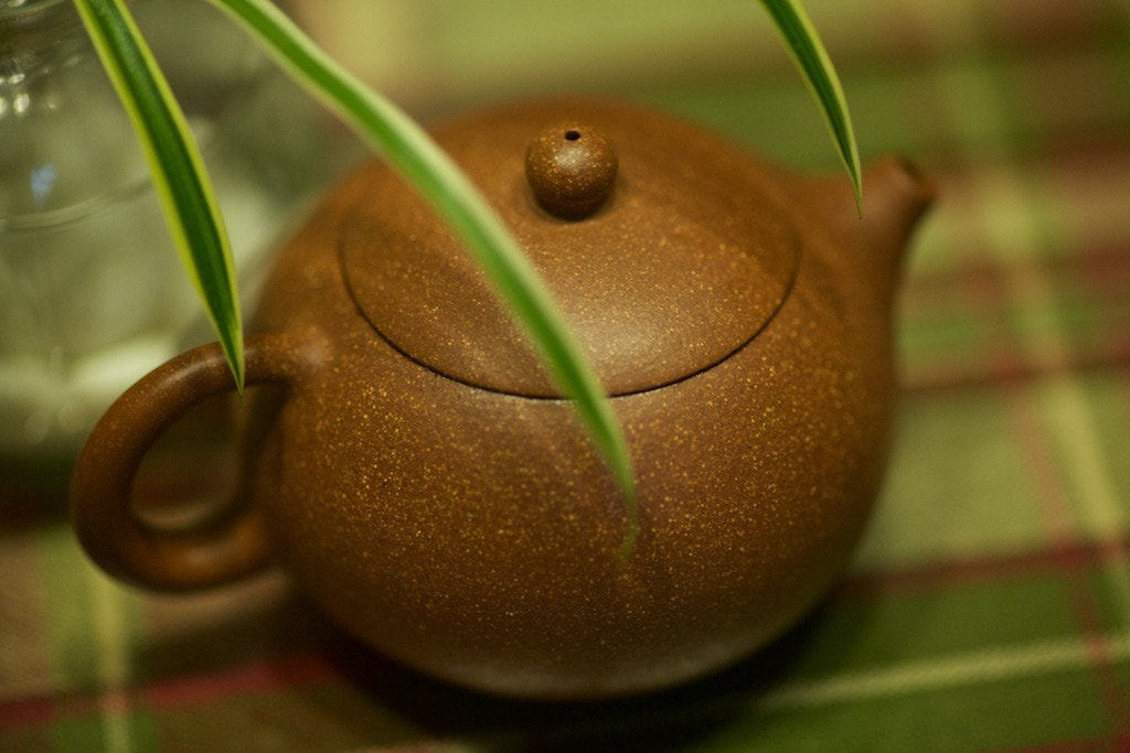 ZEISS Makro-Planar T* 100mm F2 sample photo