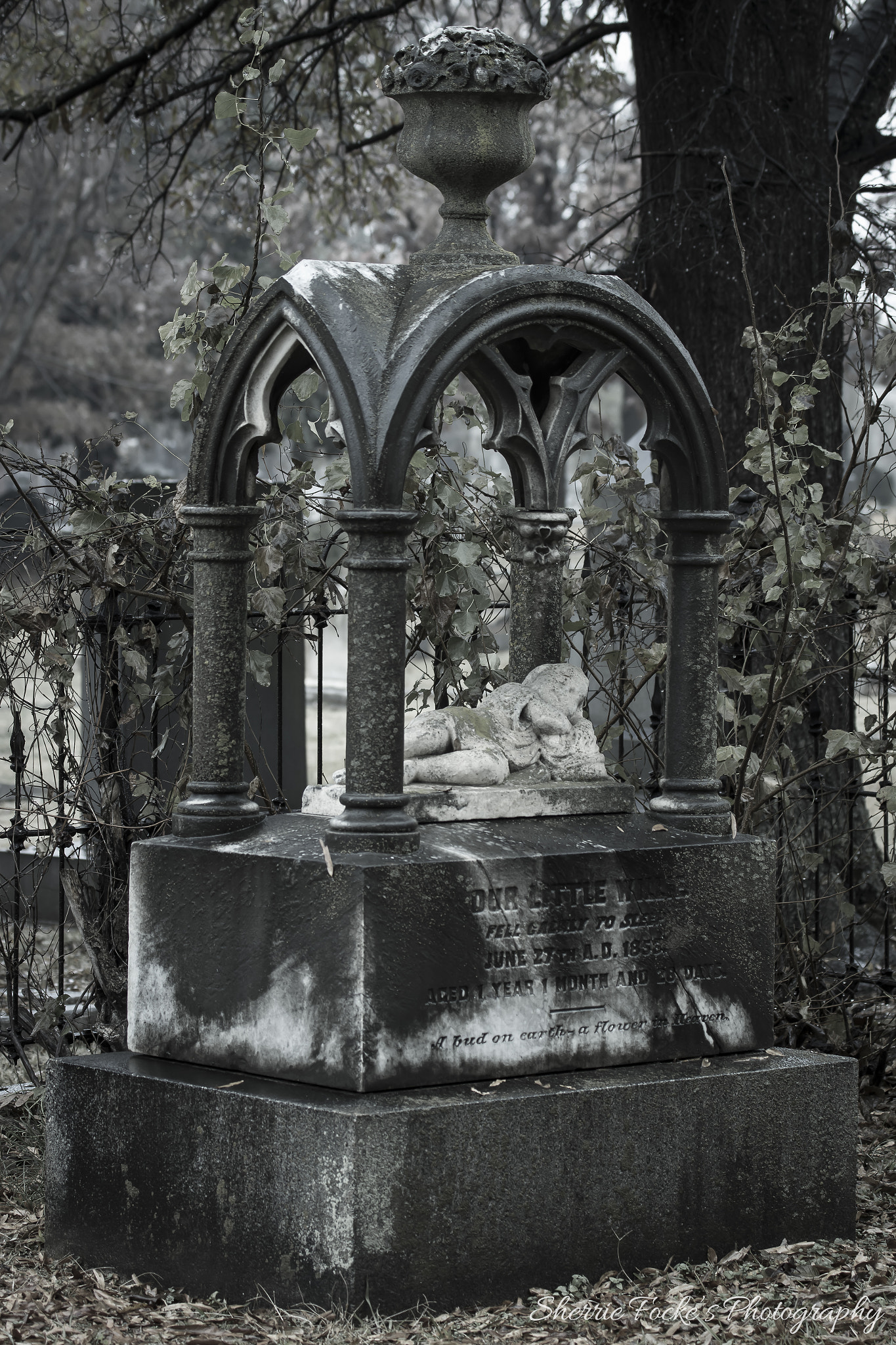 Canon EF 70-300mm F4-5.6L IS USM sample photo. Sleeping baby elmwood cemetery photography