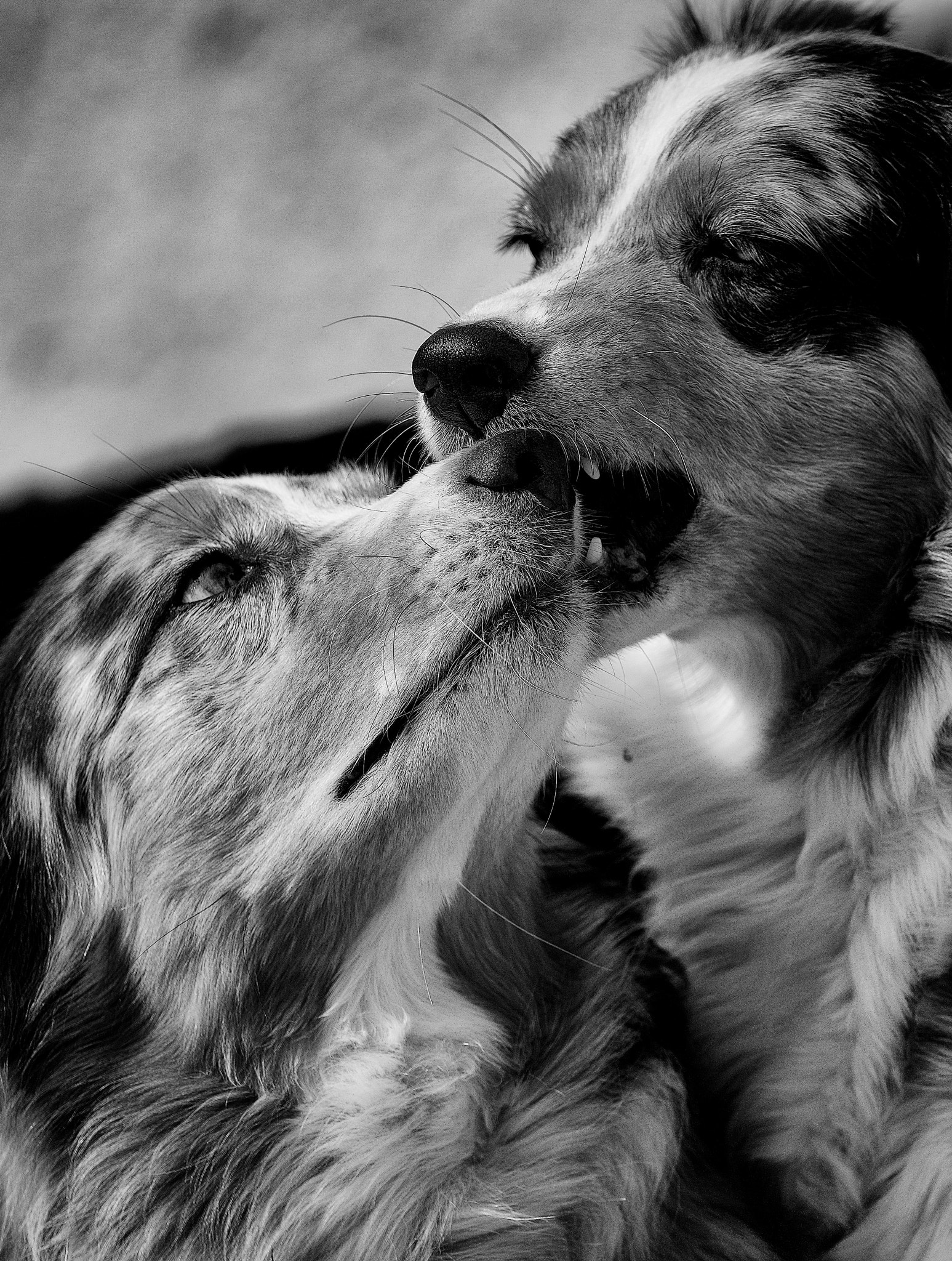 Pentax K-3 II sample photo. Sisters photography