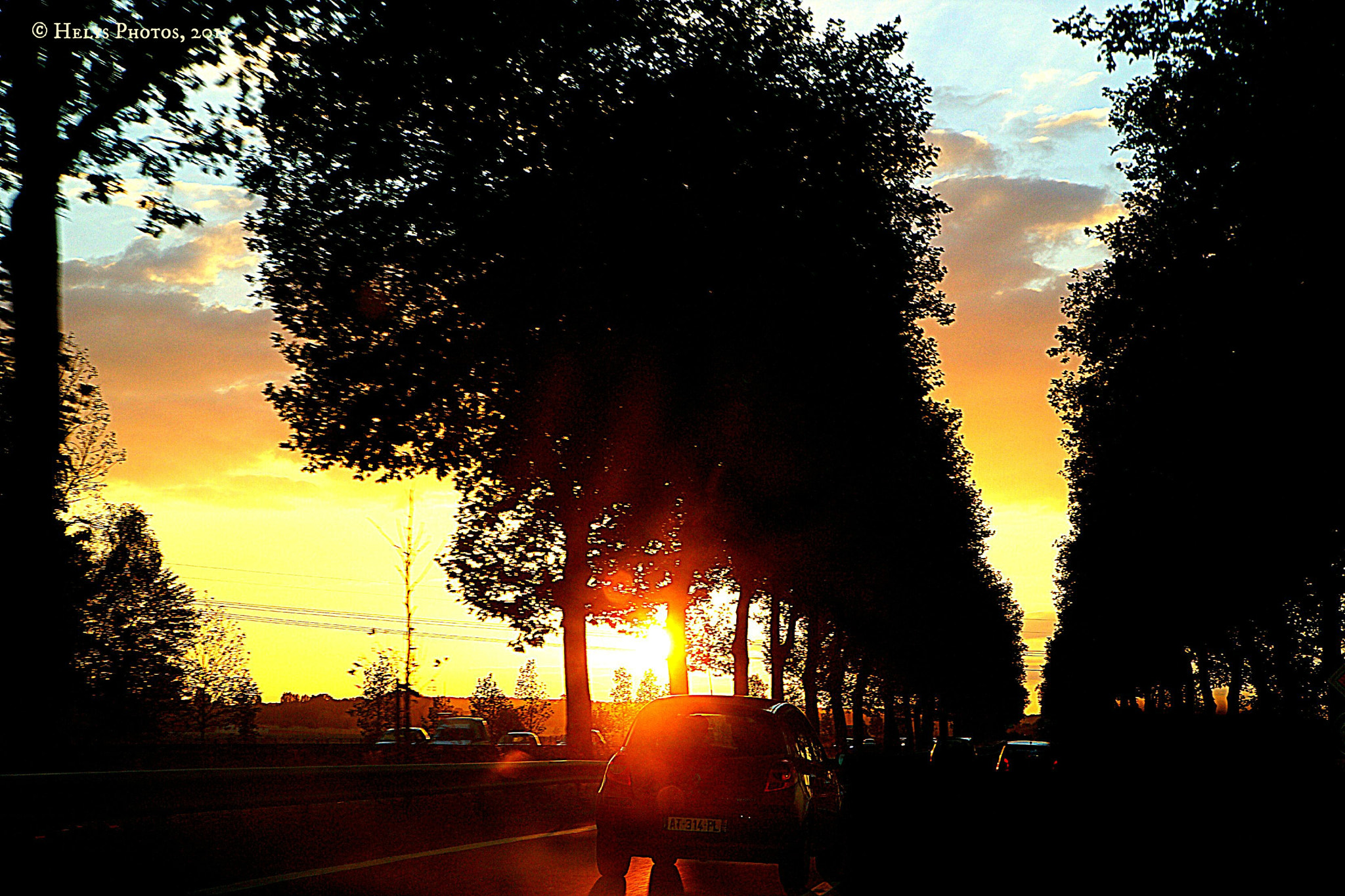 Sony Alpha DSLR-A850 + Sony 28-75mm F2.8 SAM sample photo. From flowers to sunset photography