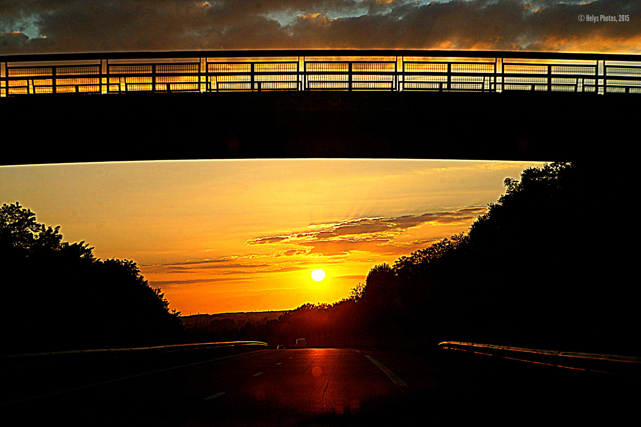 Sony Alpha DSLR-A850 + Sony 28-75mm F2.8 SAM sample photo. From flowers to sunset photography