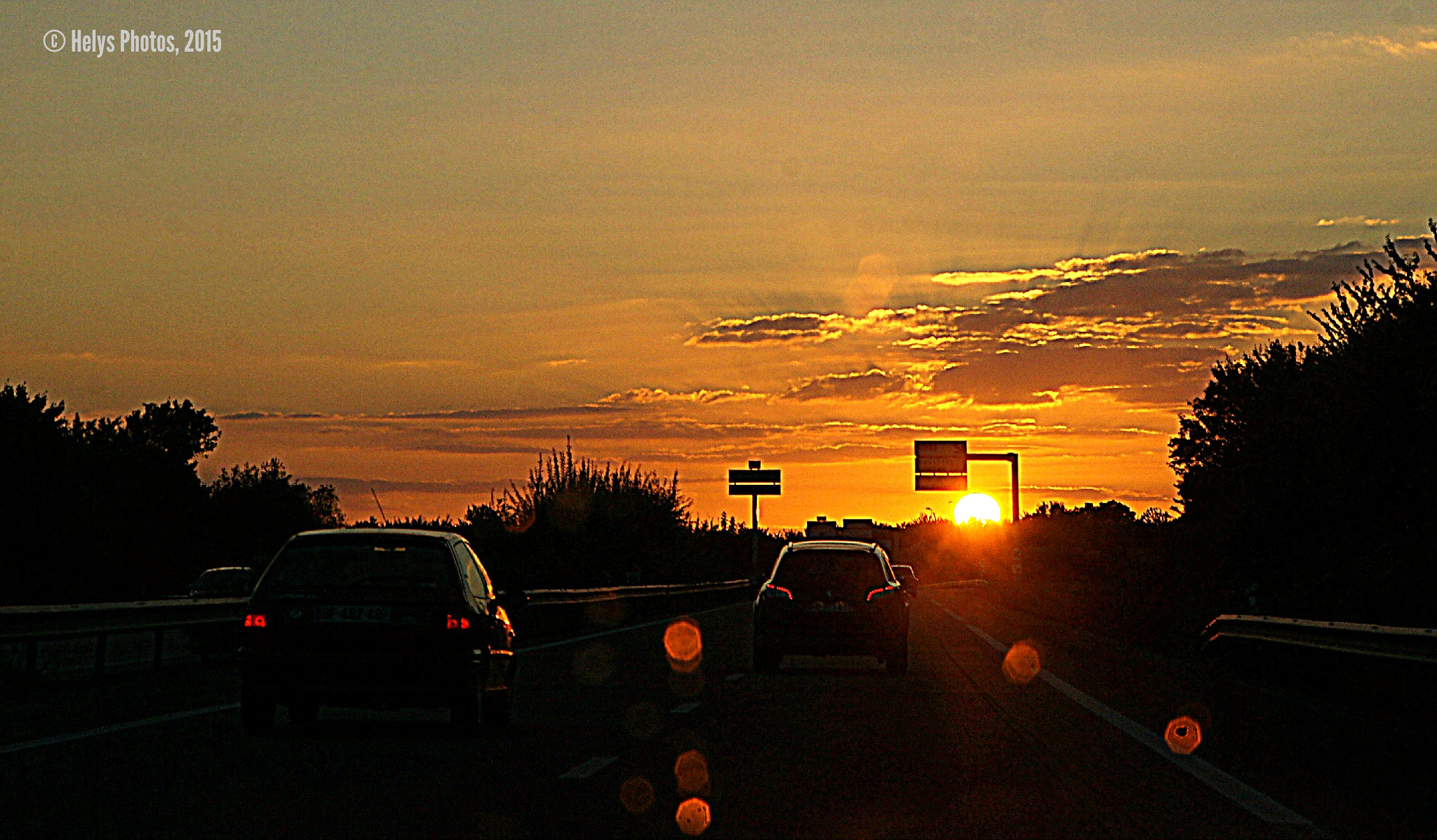 Sony Alpha DSLR-A850 + Sony 28-75mm F2.8 SAM sample photo. From flowers to sunset photography