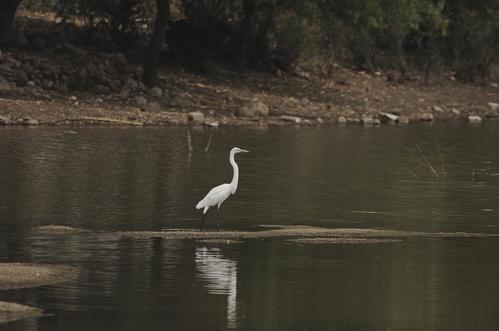 AF Zoom-Nikkor 70-300mm f/4-5.6D ED sample photo. Sct photography