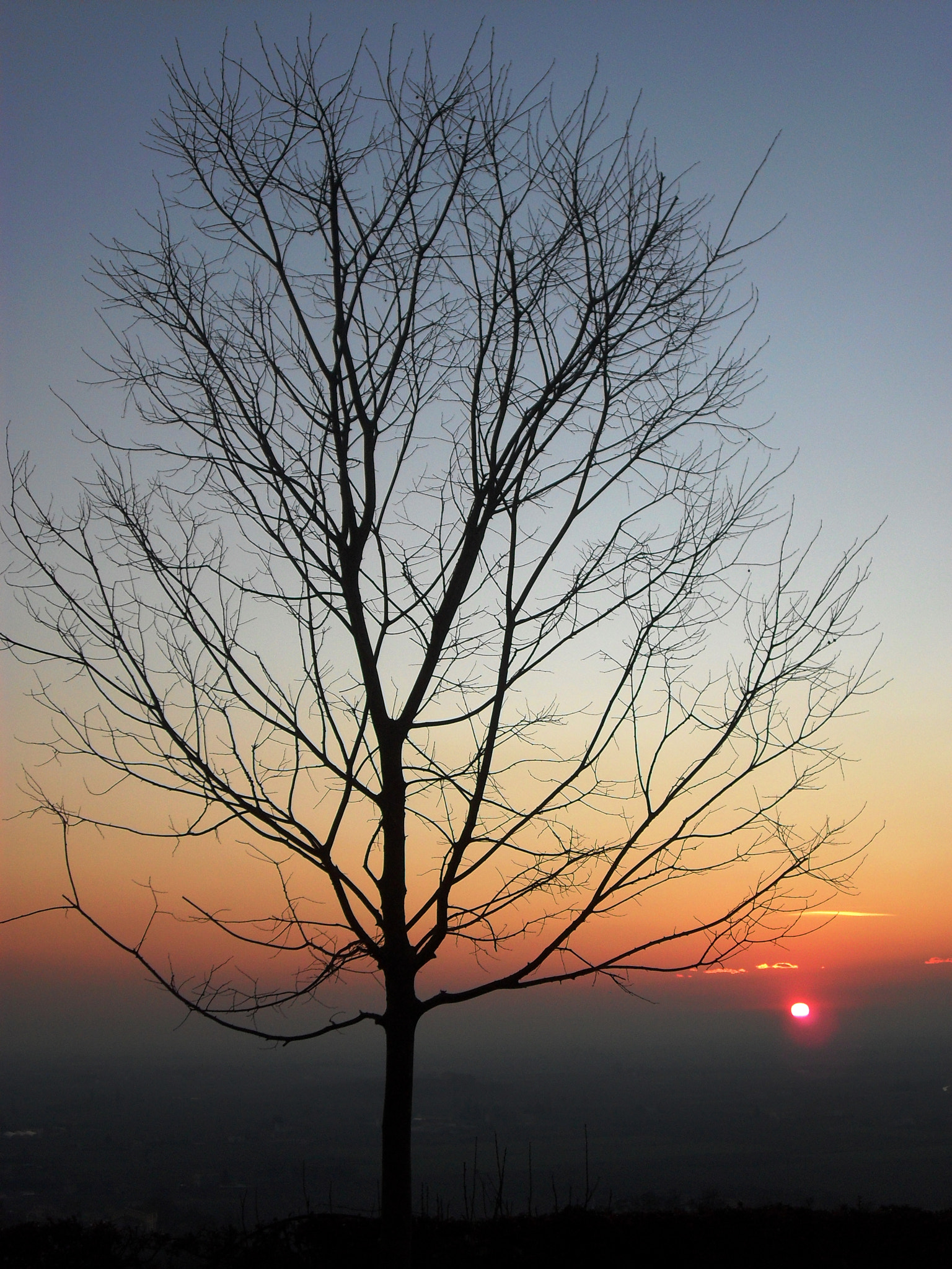 Samsung PL51 / VLUU PL51 /  SL203 sample photo. Tramonto sui colli euganei photography