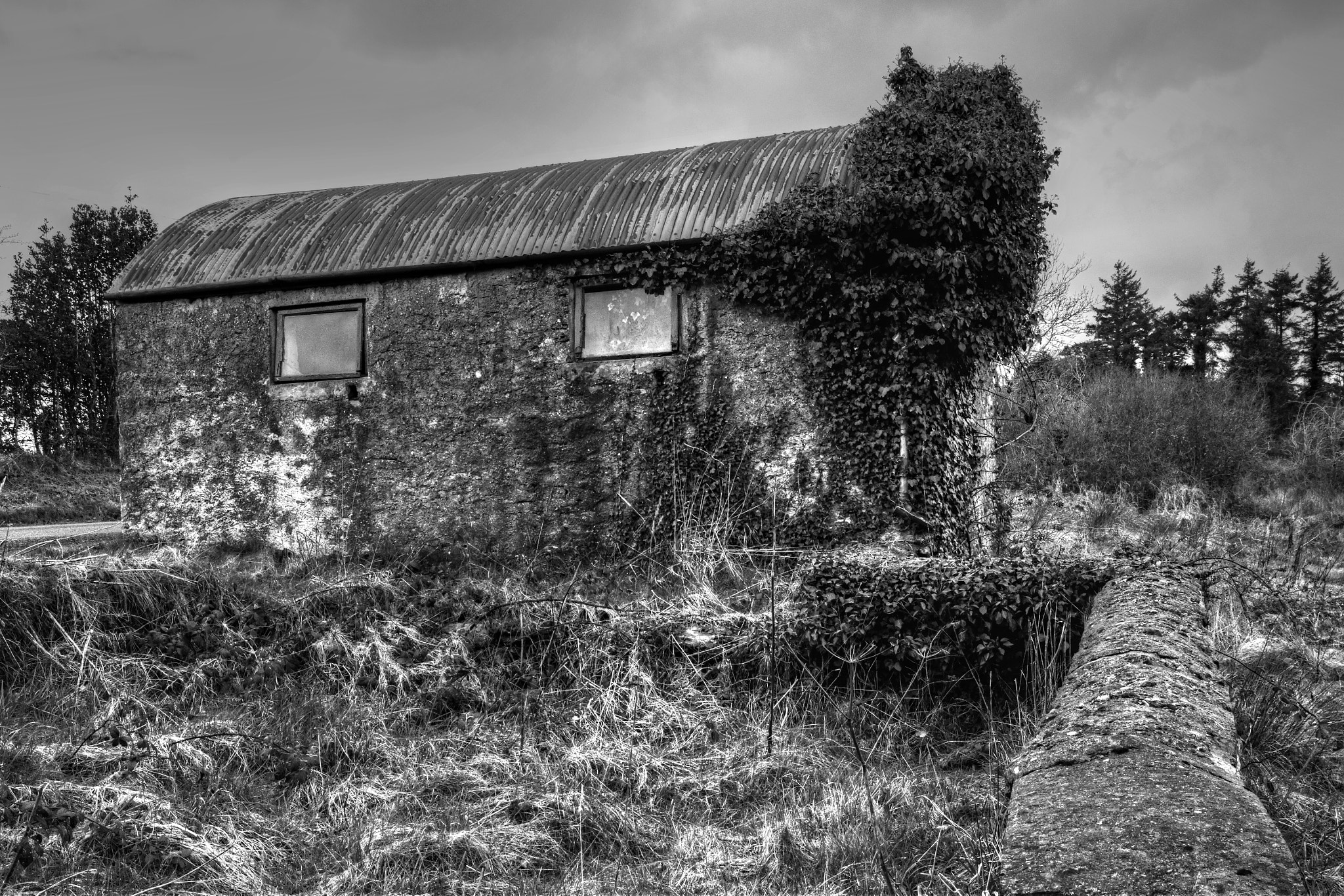 18.00 - 55.00 mm f/3.5 - 5.6 sample photo. Shed photography