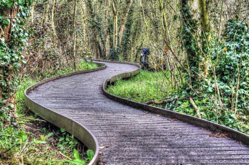 Sony SLT-A55 (SLT-A55V) sample photo. Long and winding road. photography