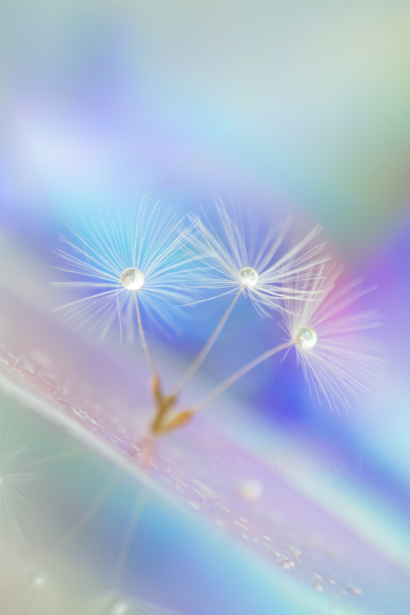 Tamron SP AF 180mm F3.5 Di LD (IF) Macro sample photo. Beautiful world photography