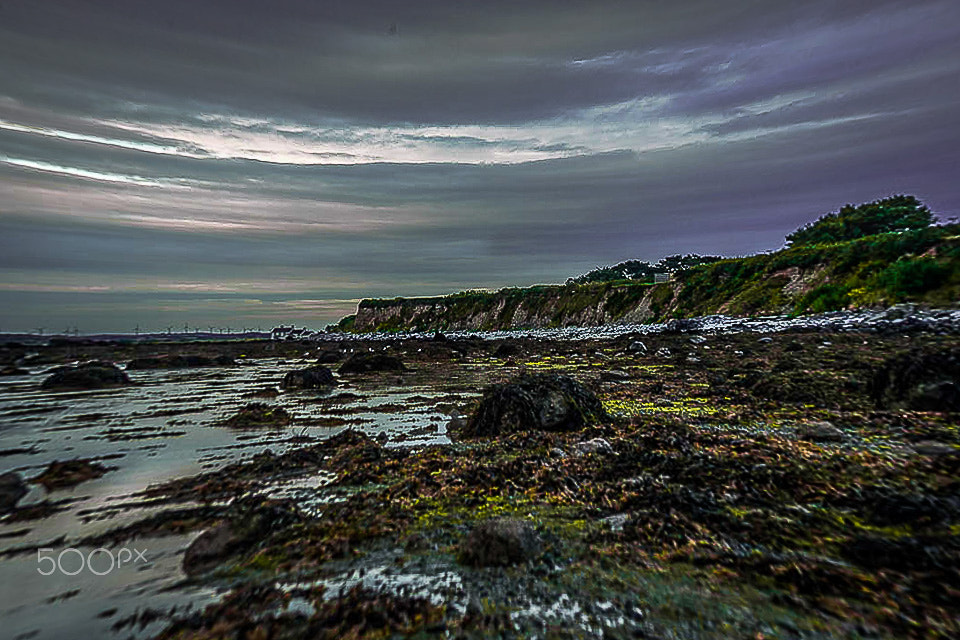 Canon EF 35-135mm f/4-5.6 USM sample photo. Penrhos photography