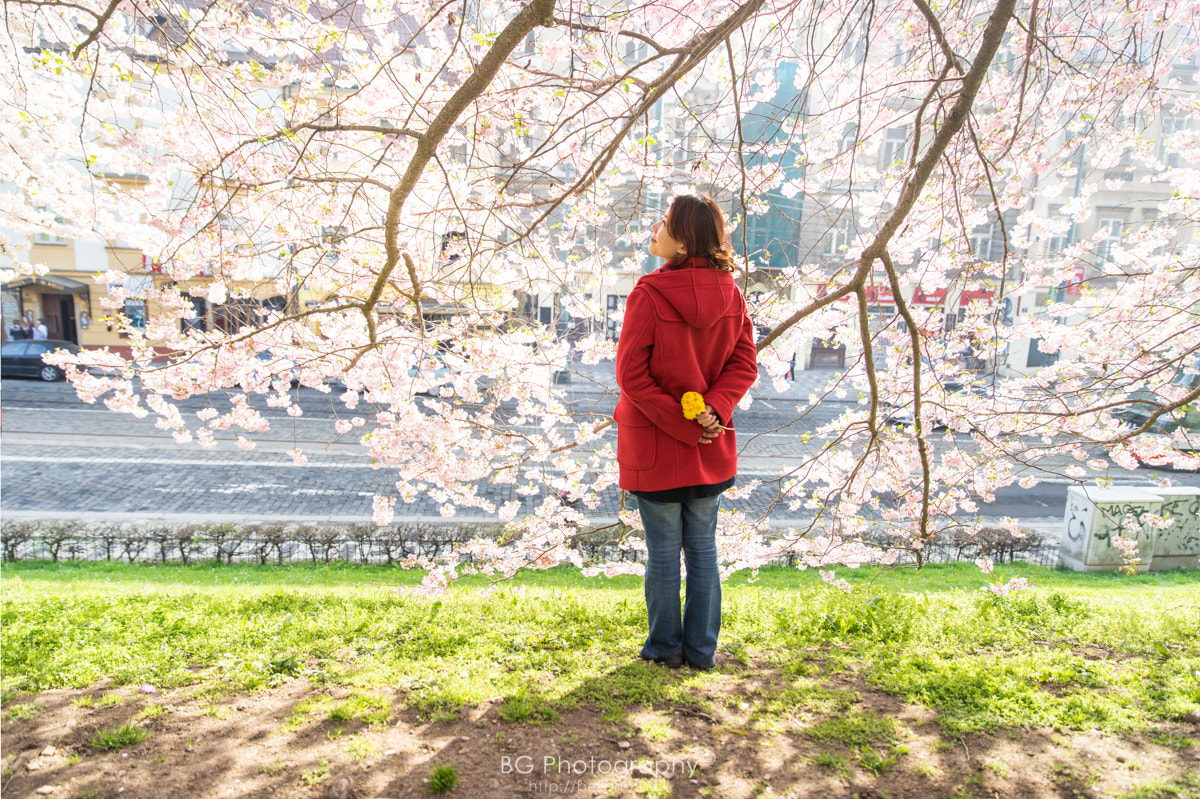 Sony a7 II + Canon EF 85mm F1.2L II USM sample photo. さくらプラハ photography