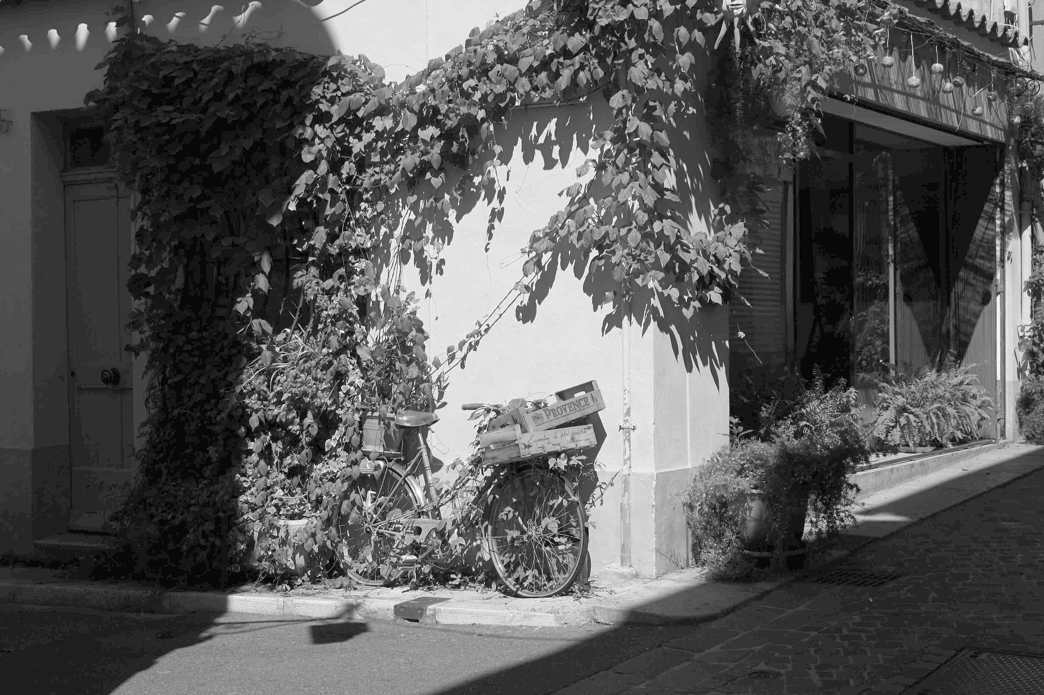 Canon EOS 1000D (EOS Digital Rebel XS / EOS Kiss F) + Canon 18-50mm sample photo. Un petit coin de provence... cassis photography