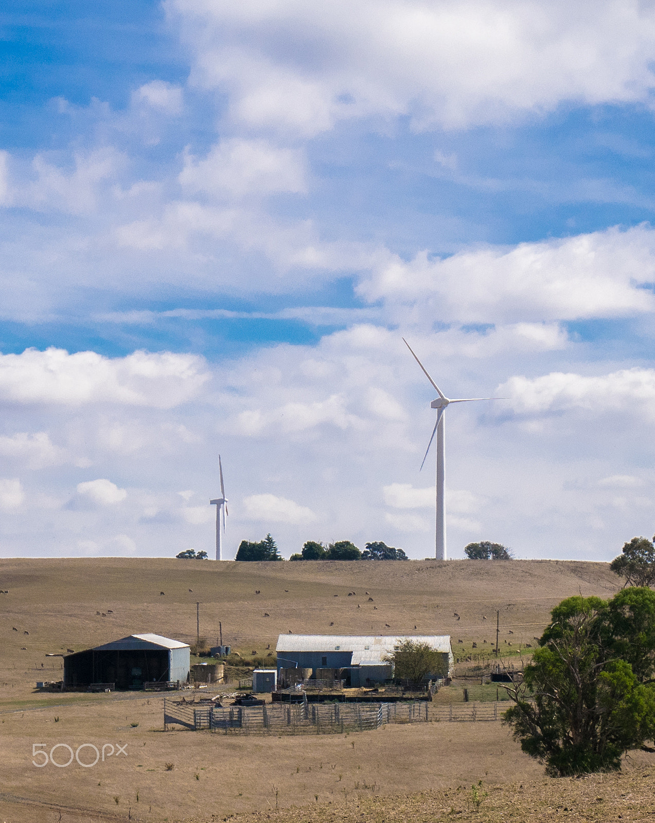 Panasonic DMC-GM1S sample photo. Windfarm photography