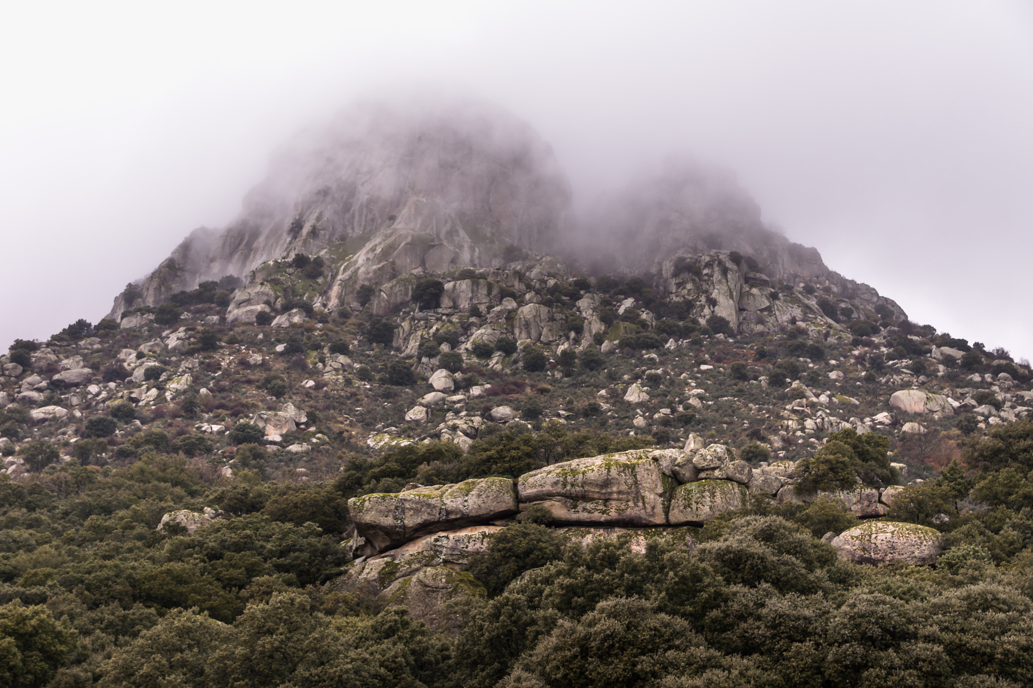 Tamron 18-270mm F3.5-6.3 Di II PZD sample photo. La cabrera photography