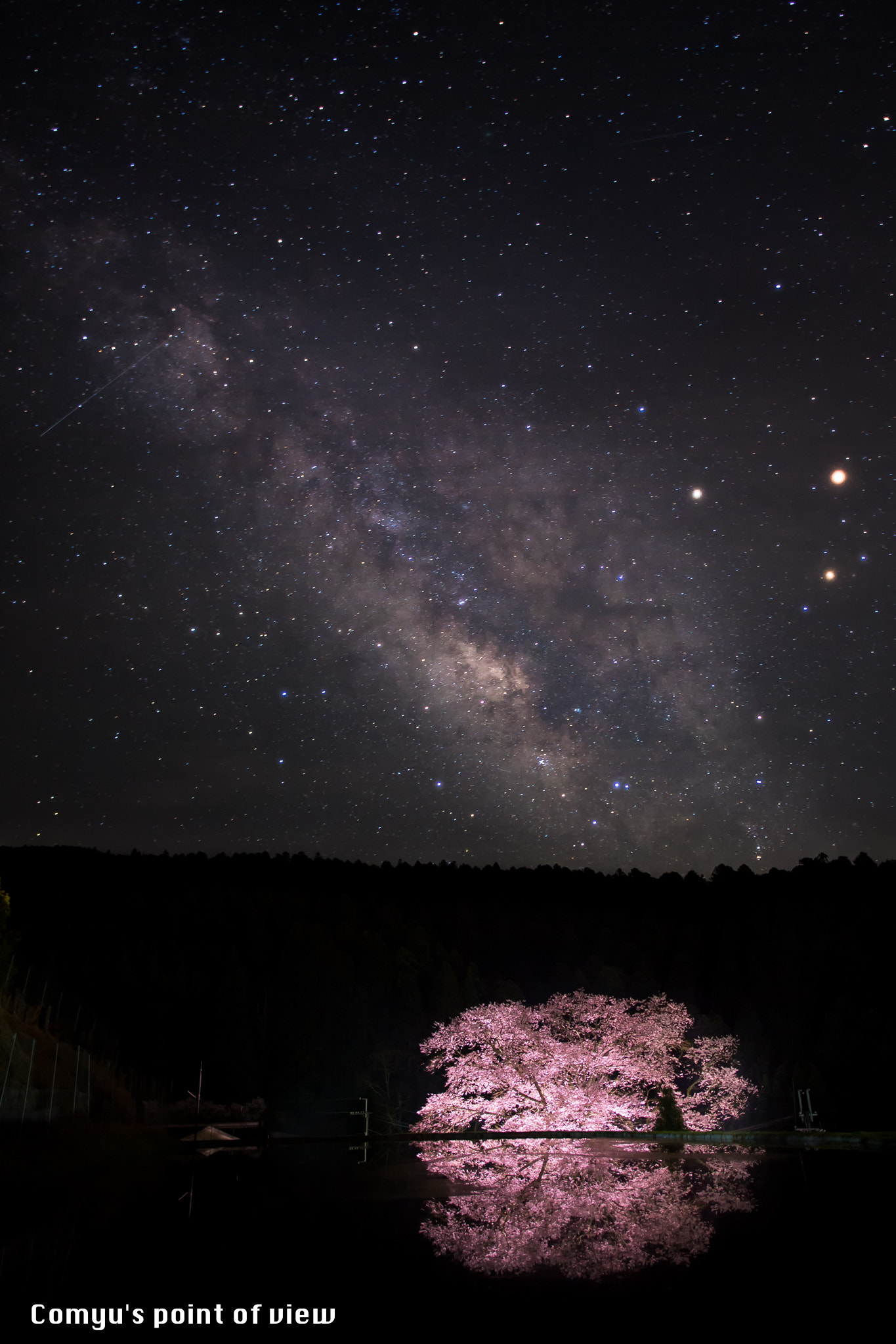 Nikon D5 + Nikon AF-S Nikkor 20mm F1.8G ED sample photo. Sakura galaxy photography