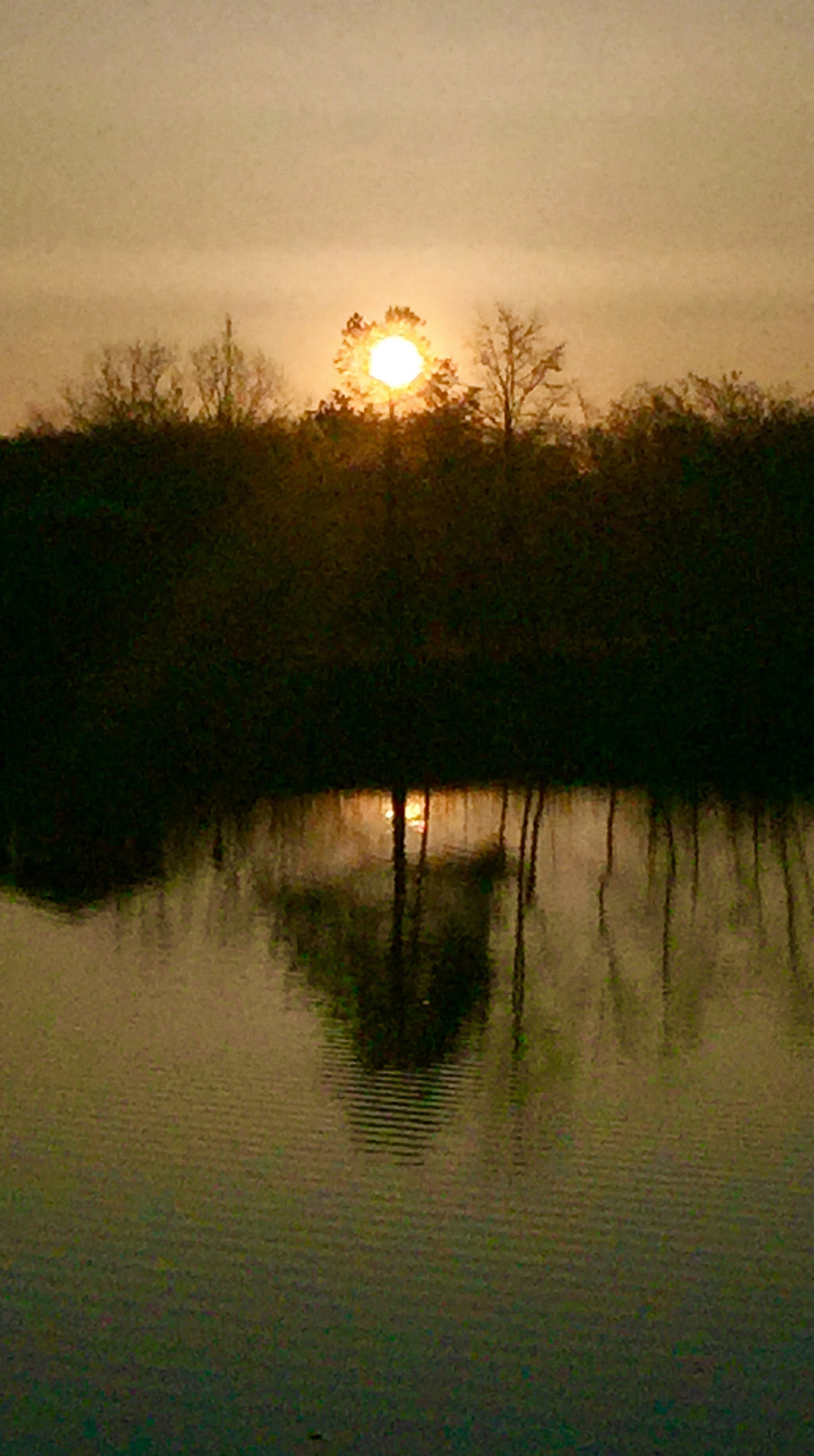 Jag.gr 645 PRO Mk III for Apple iPhone 6 Plus sample photo. The sun shall shine photography