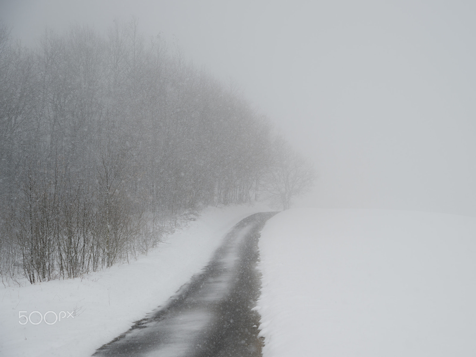 Nikon AF Nikkor 24-85mm F2.8-4D IF sample photo. Winter photography