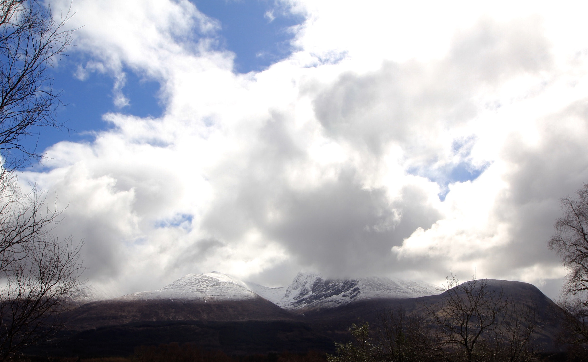 Canon 10-24mm sample photo. Ne'er cast a clout till may is out. an old scottis ... photography